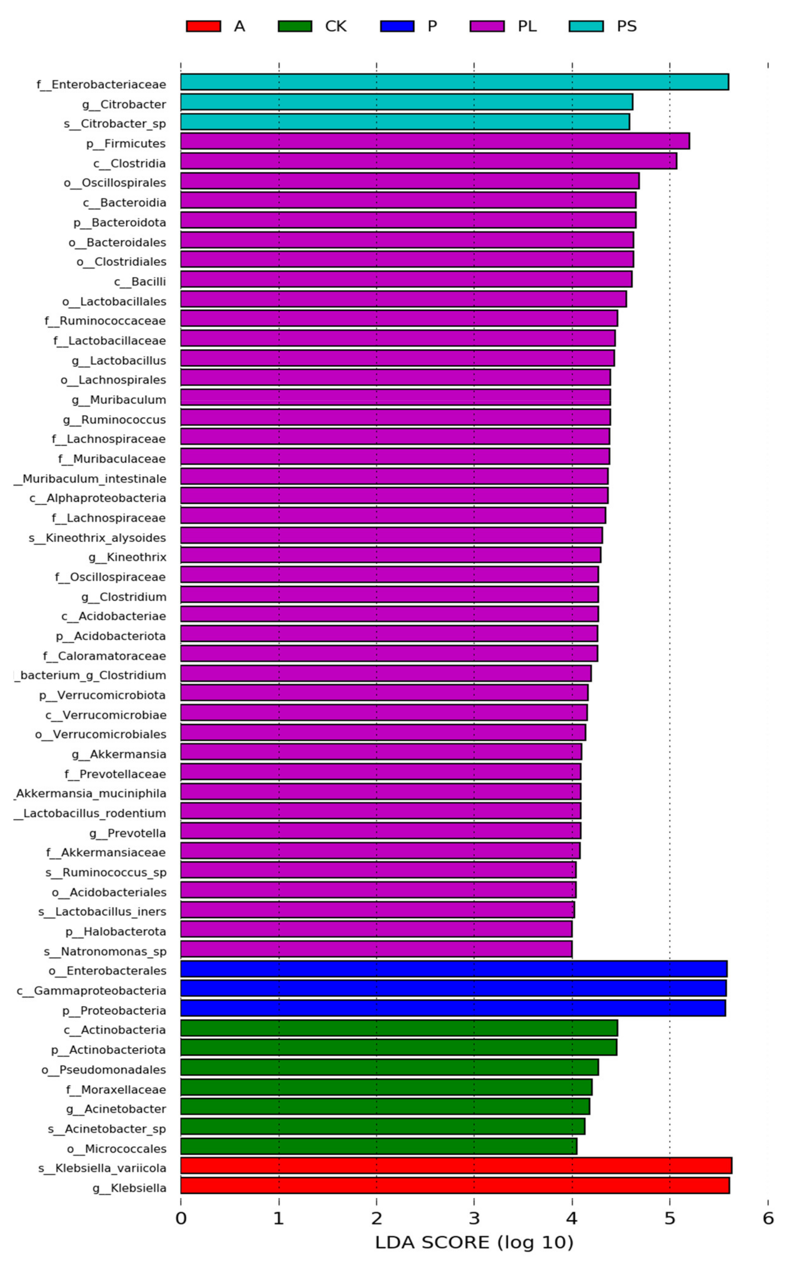 Ijms 22 06843 g006 550