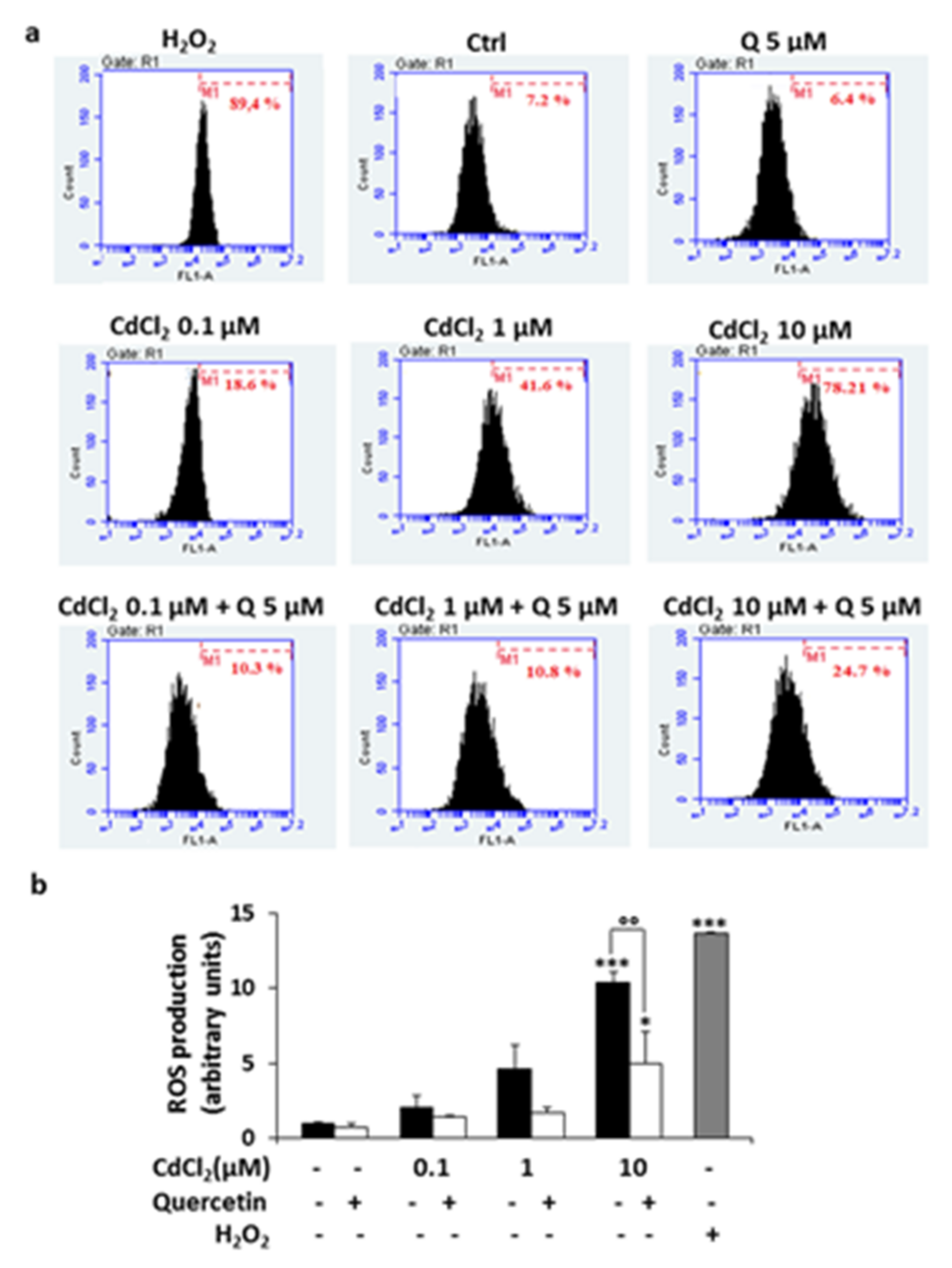 Ijms 22 06849 g003 550