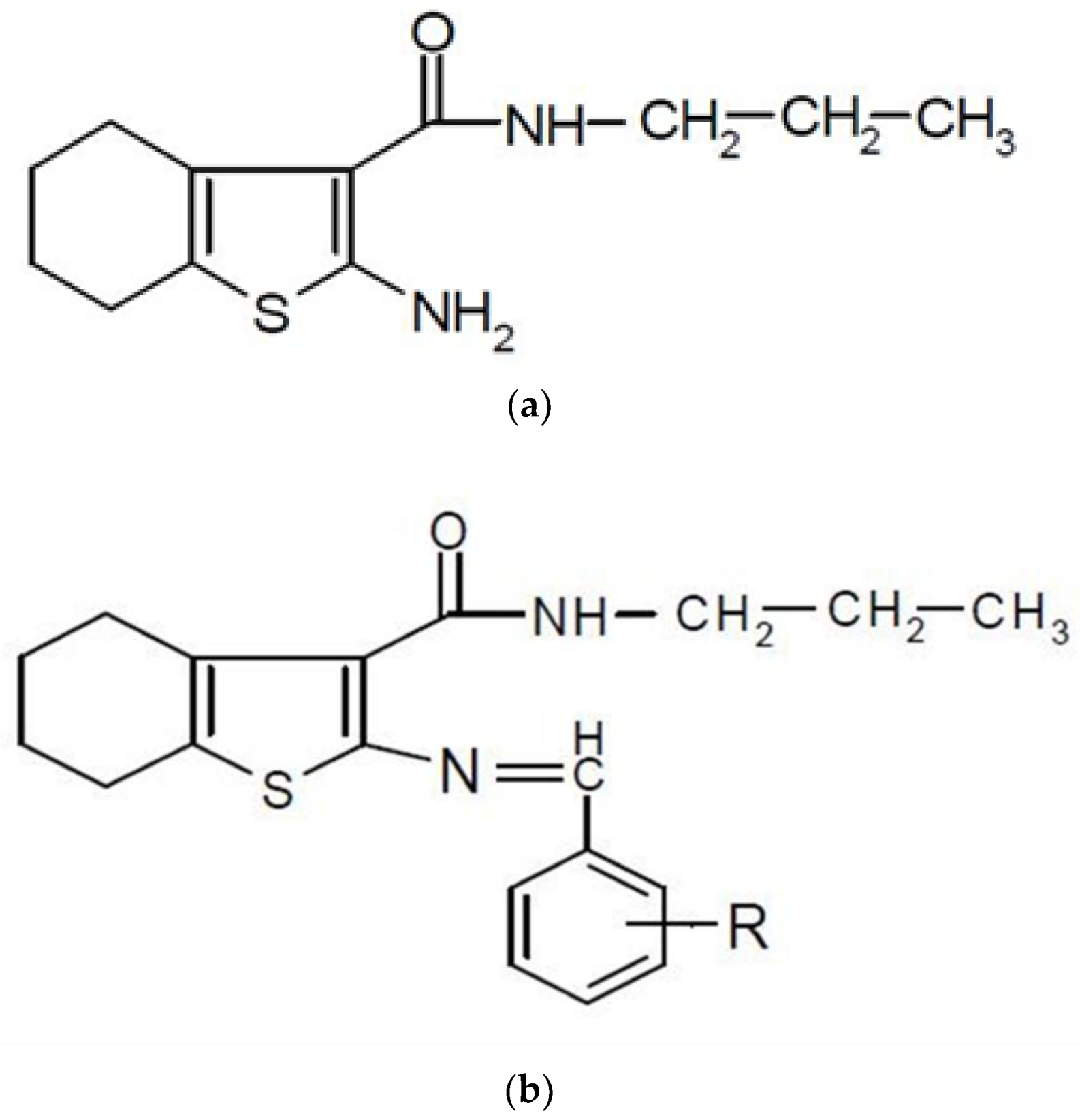 Ijms 22 06850 g007 550