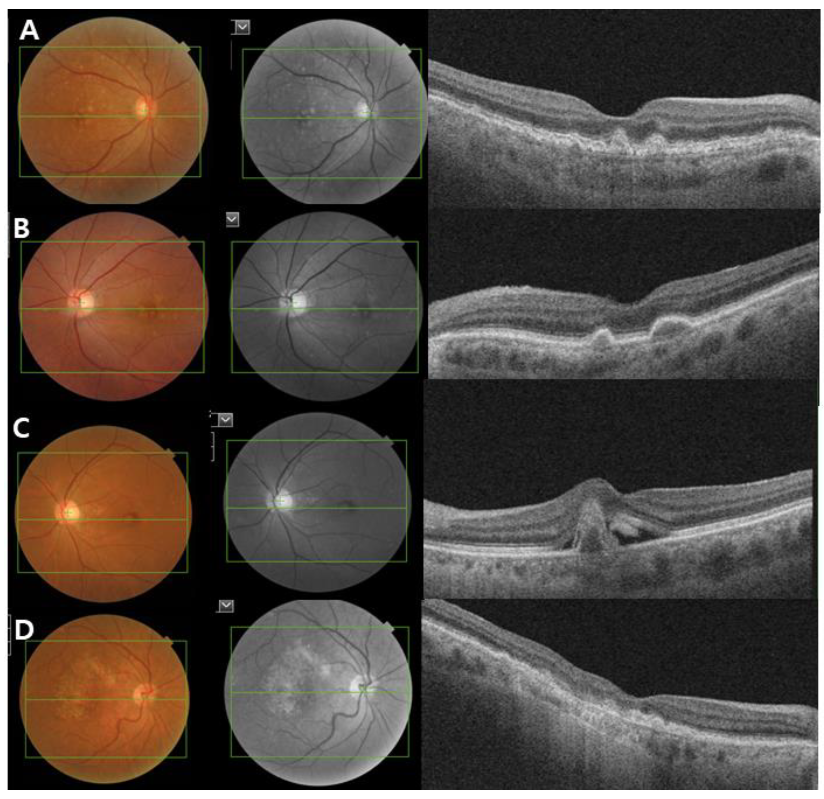 Ijms 22 06851 g002 Ijms 22 06851 g002