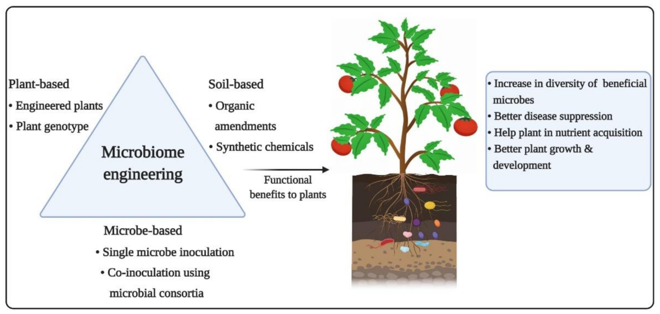 Ijms 22 06852 g004 550