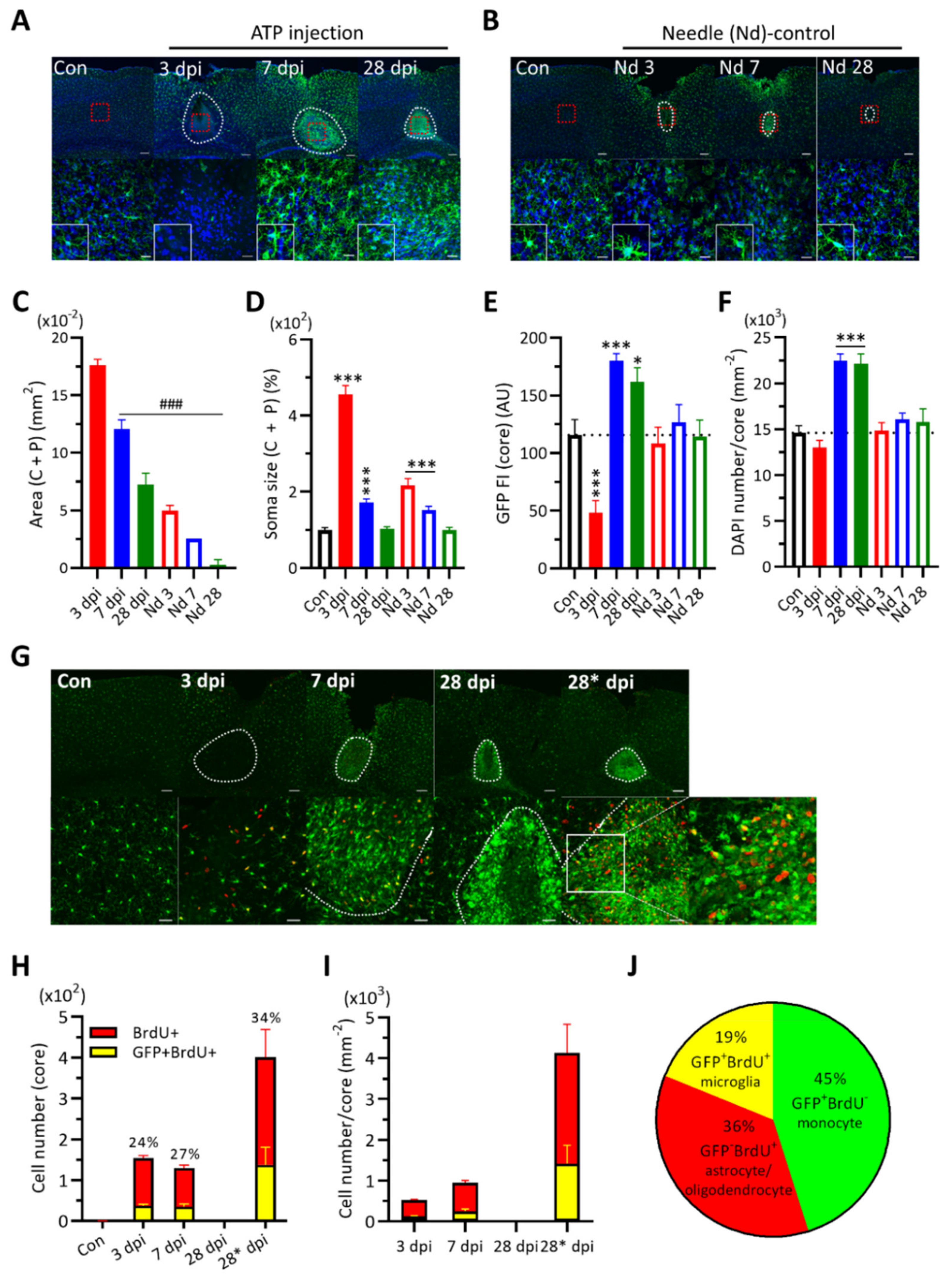 Ijms 22 06853 g001 Ijms 22 06853 g001
