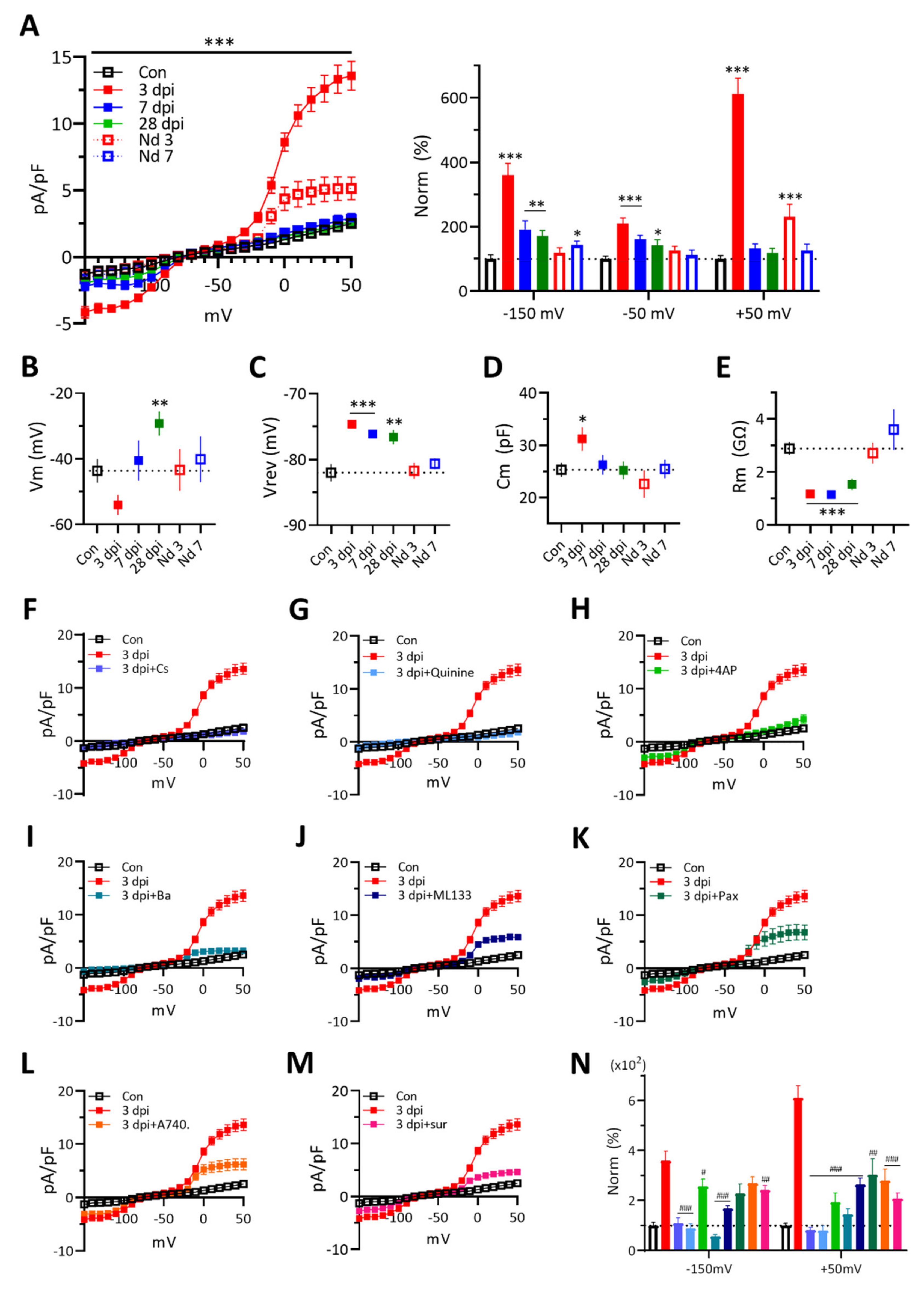 Ijms 22 06853 g004 Ijms 22 06853 g004