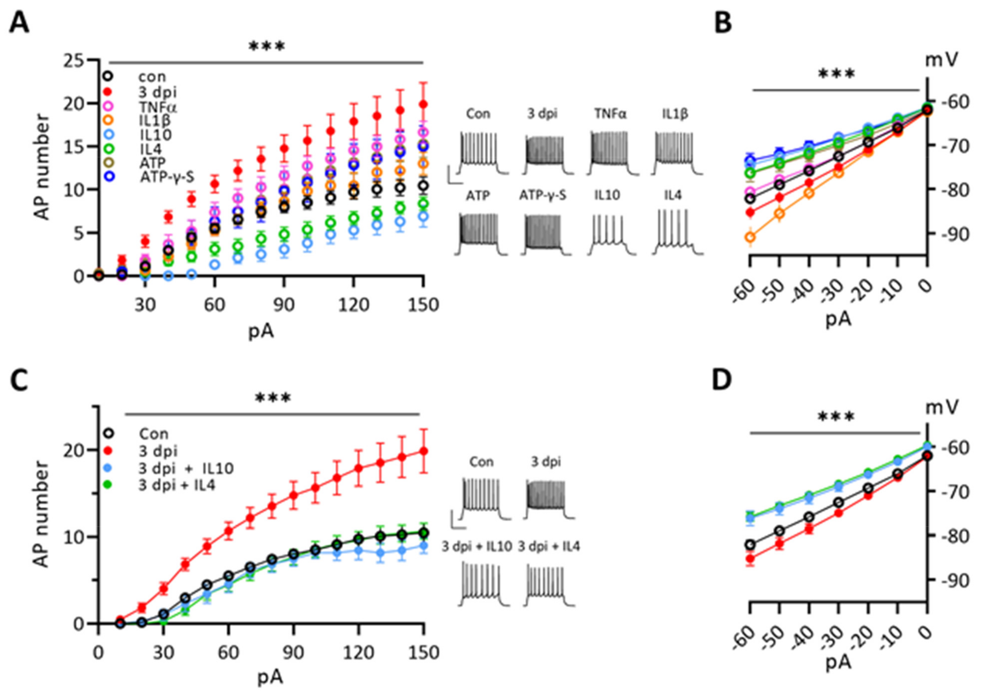 Ijms 22 06853 g005 Ijms 22 06853 g005
