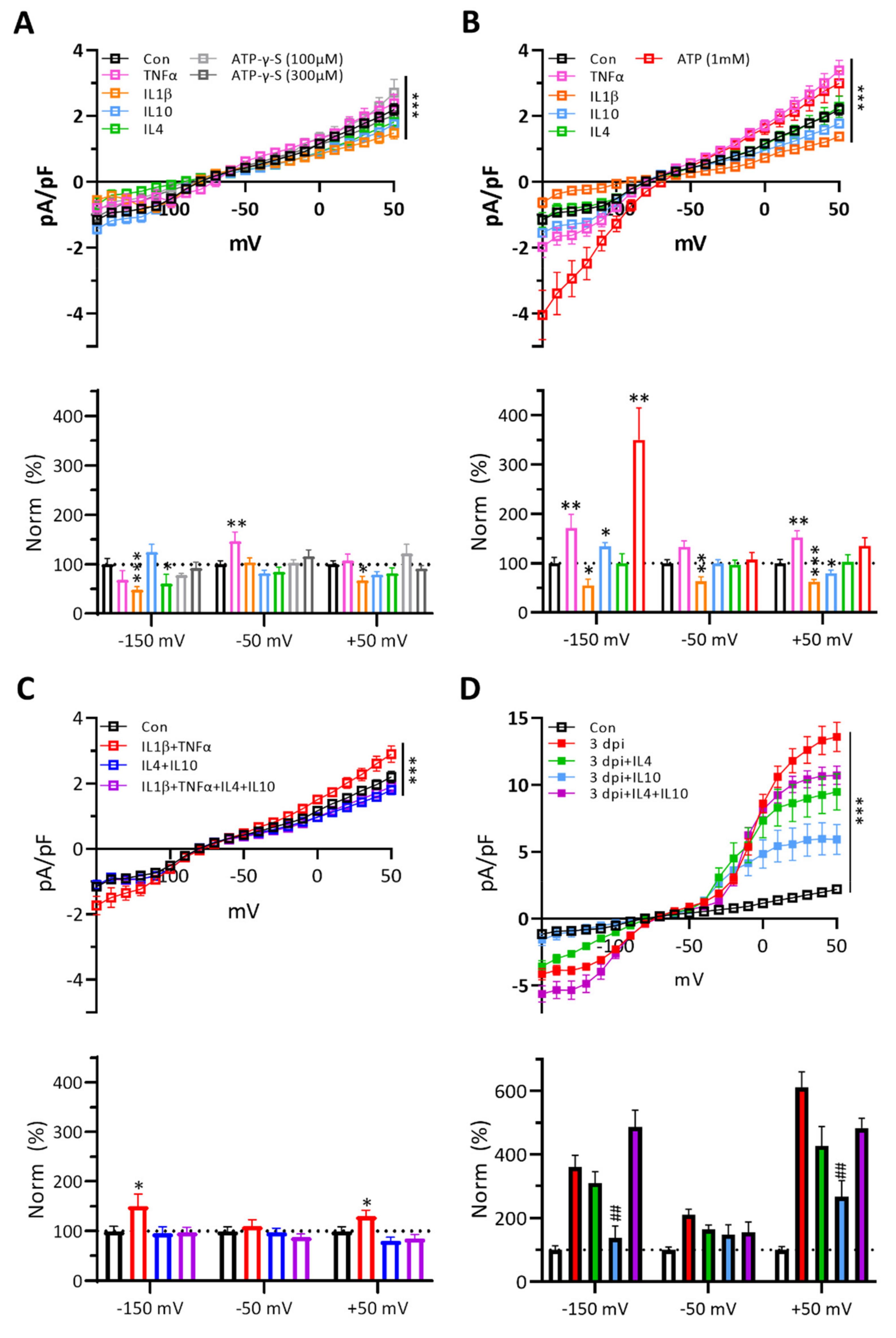 Ijms 22 06853 g006 Ijms 22 06853 g006