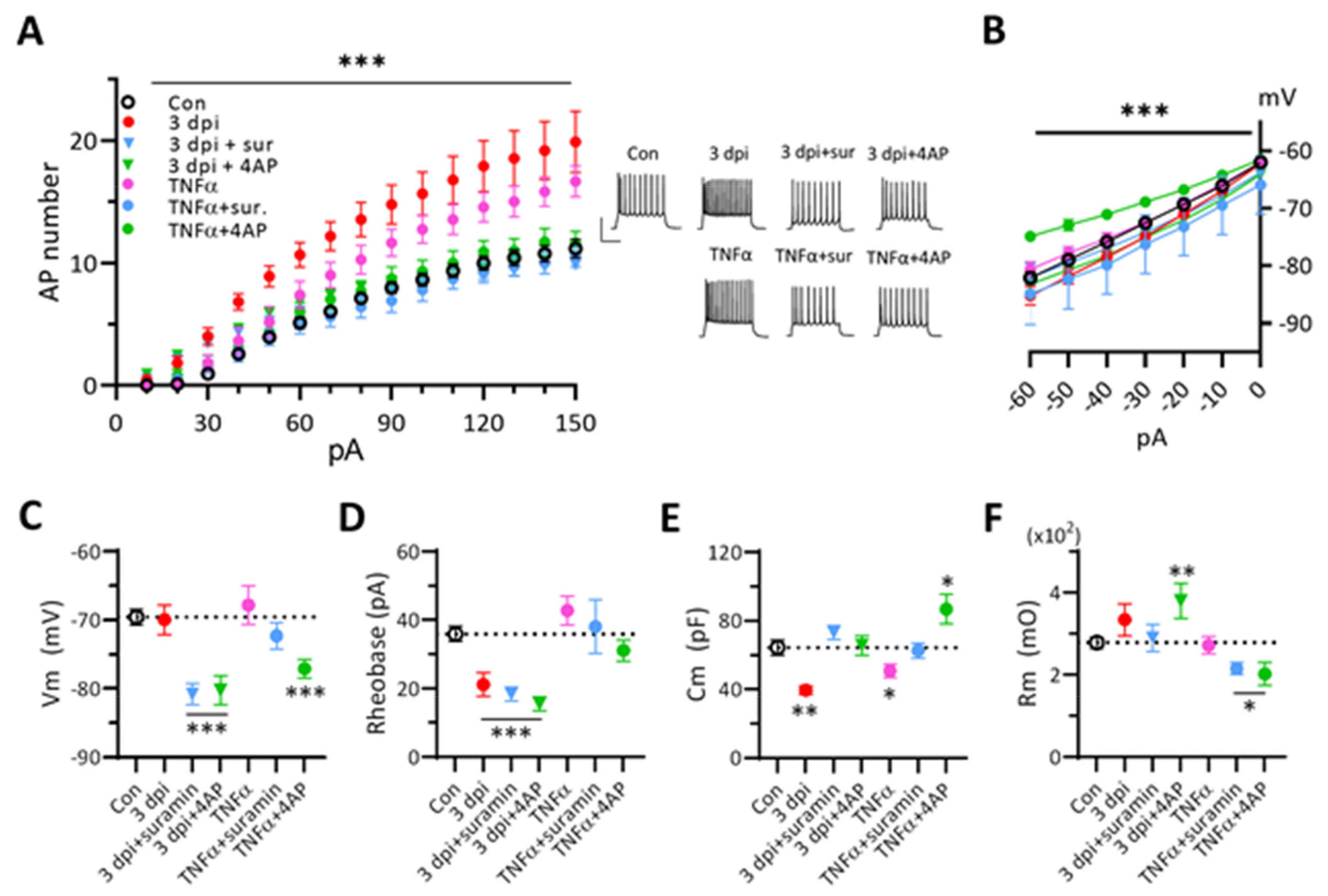 Ijms 22 06853 g007 Ijms 22 06853 g007