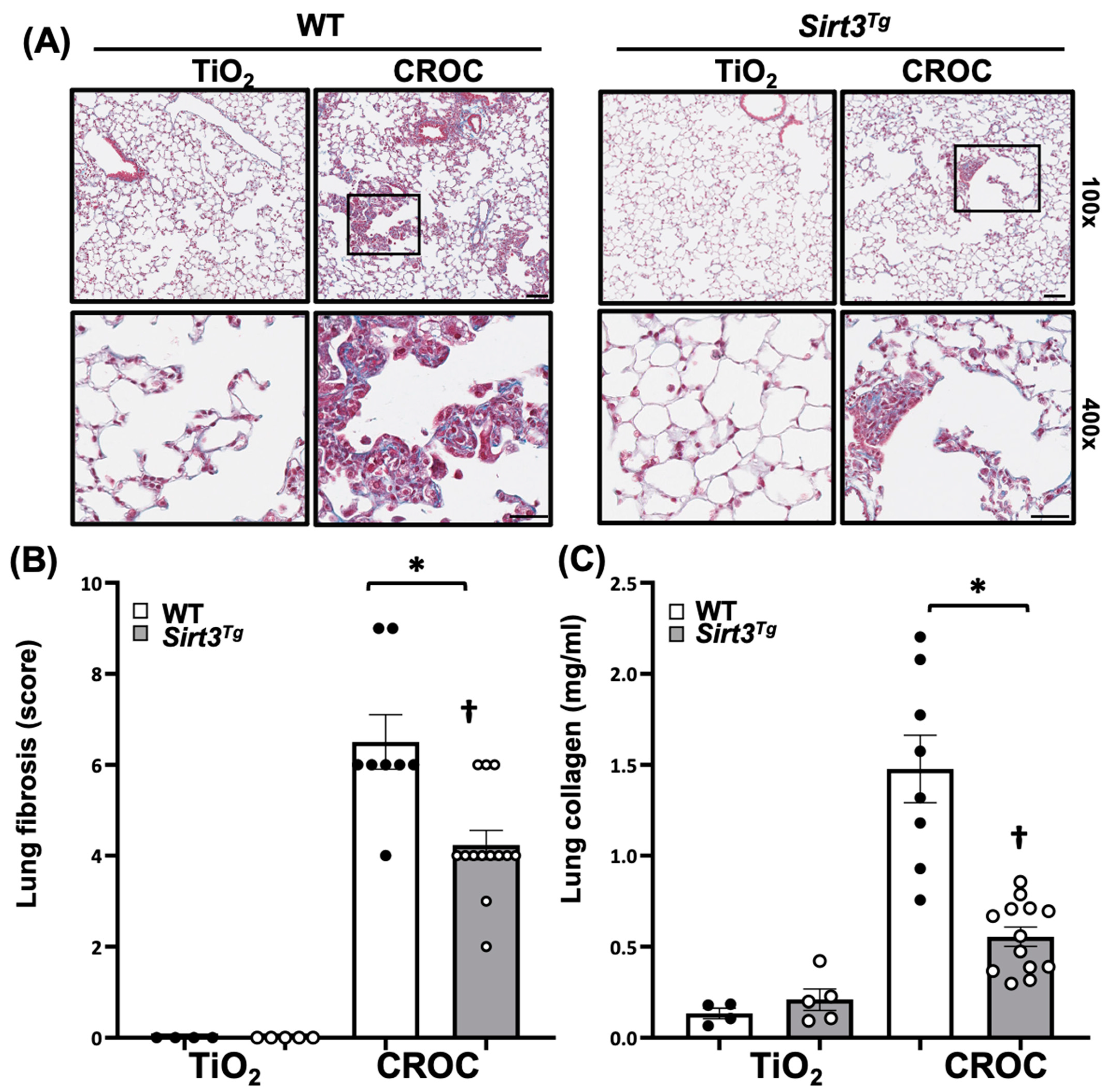 Ijms 22 06856 g001 550