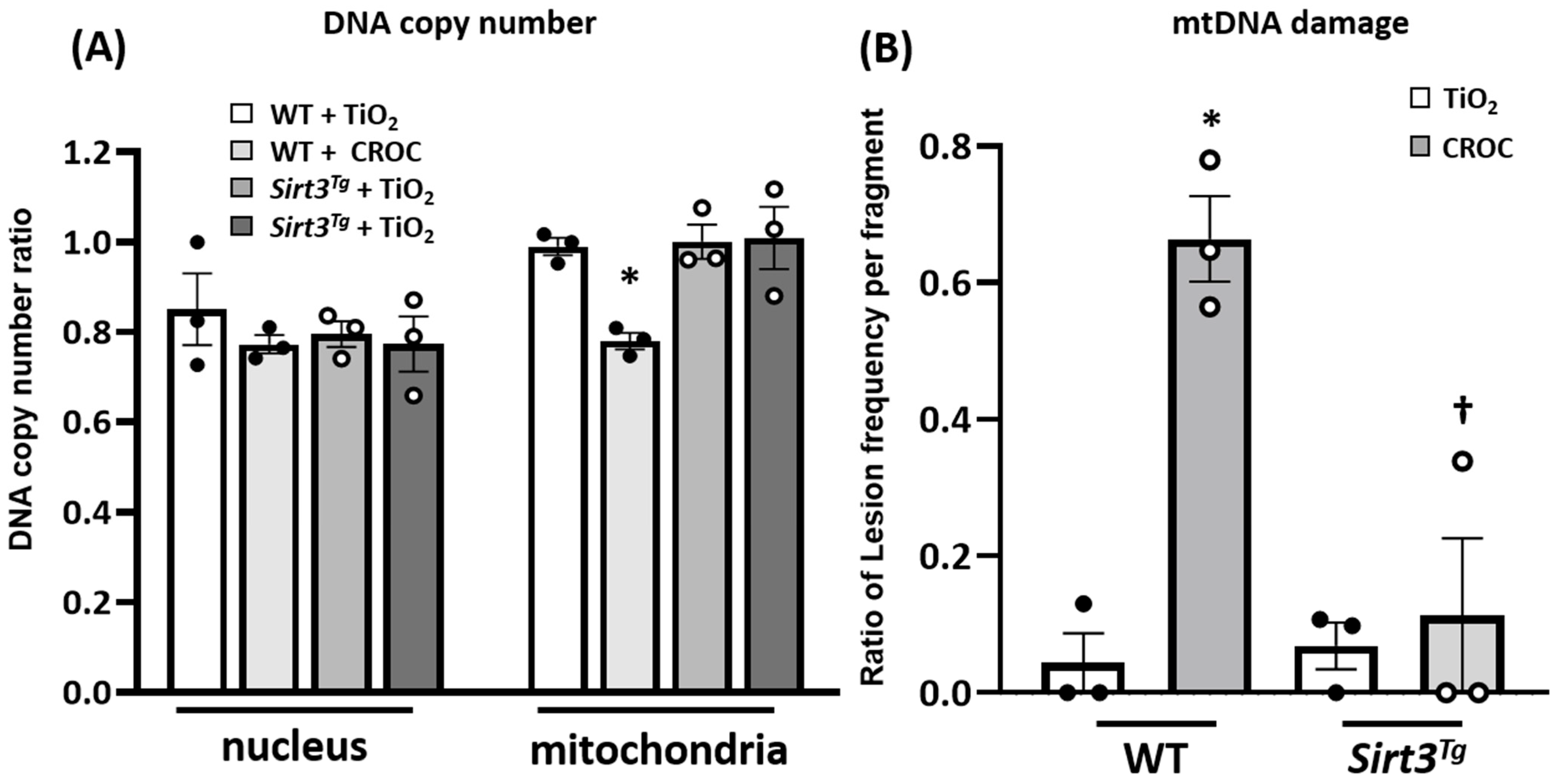 Ijms 22 06856 g002 550
