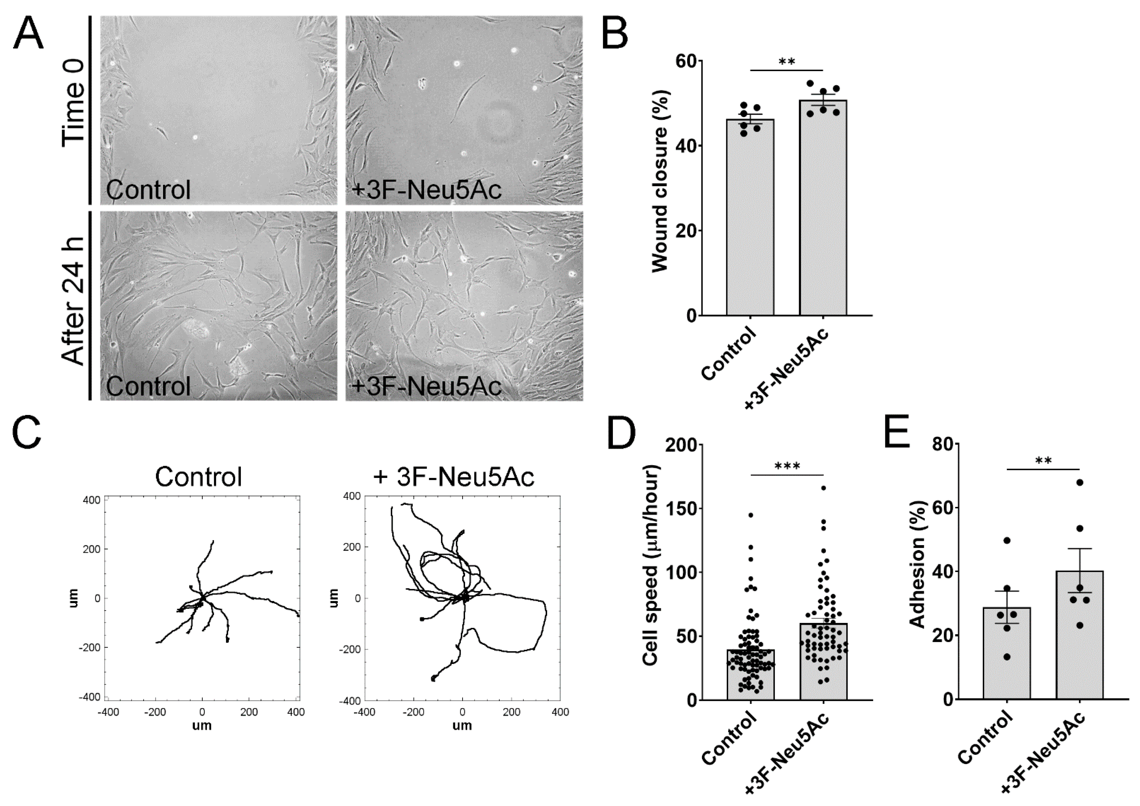 Ijms 22 06868 g003 550