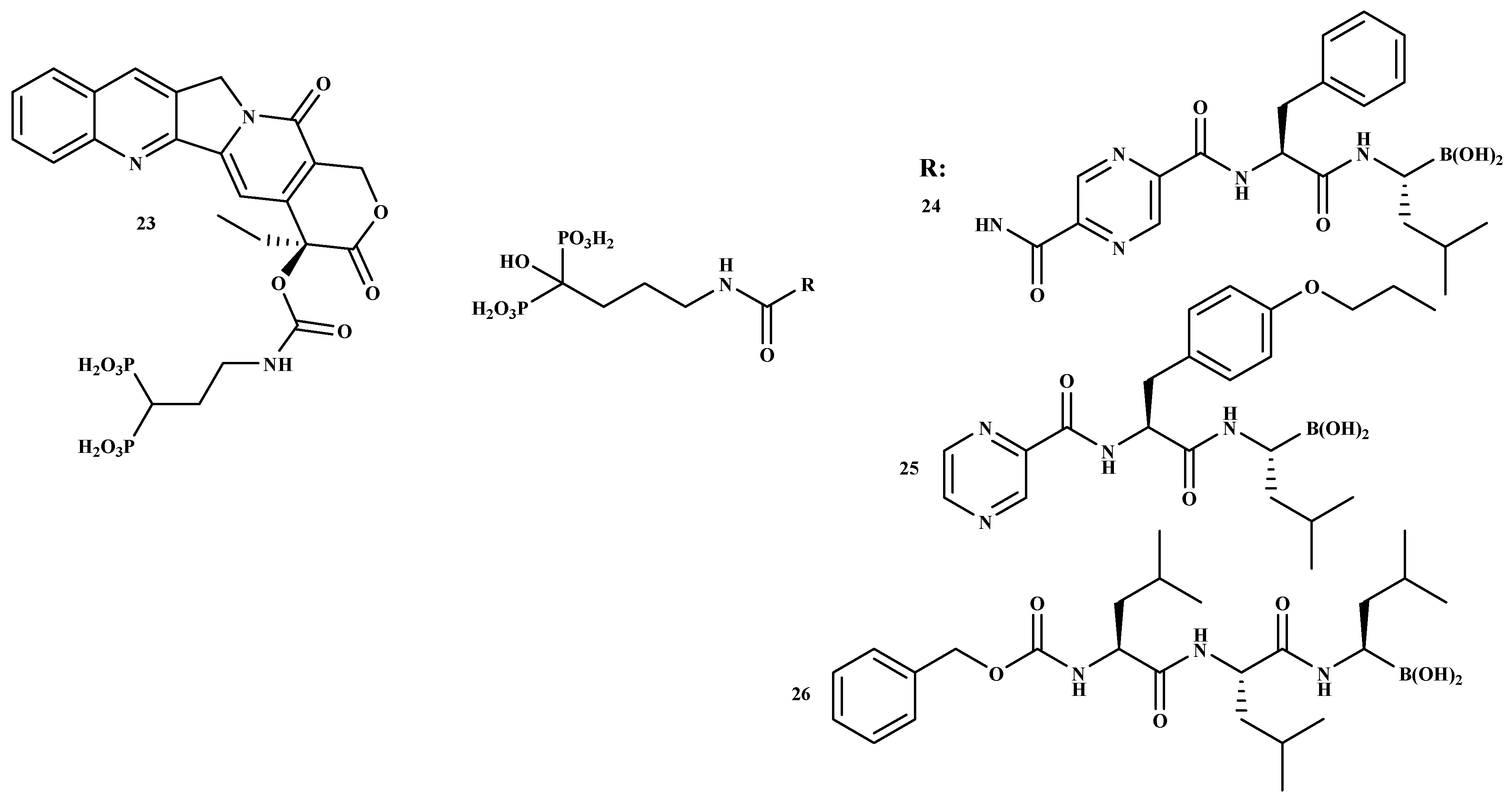 Ijms 22 06869 g004 Ijms 22 06869 g004