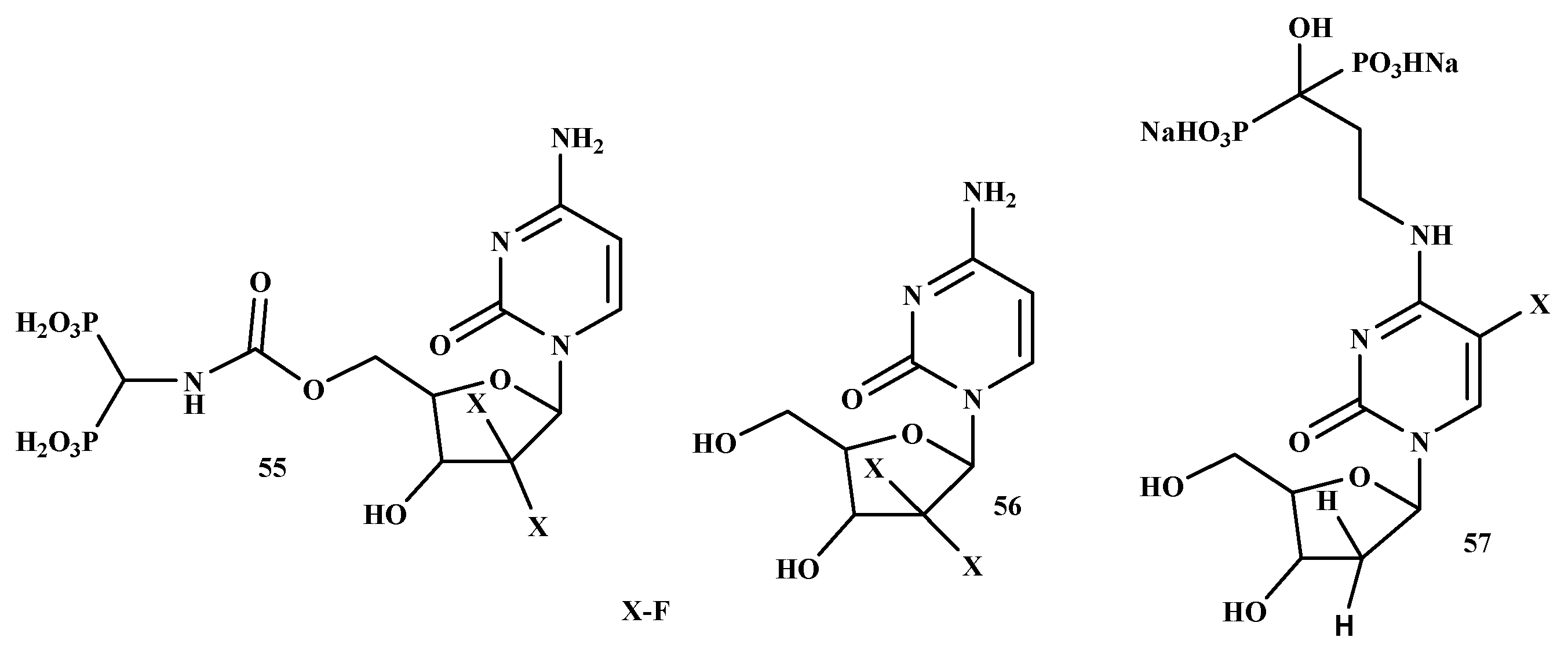 Ijms 22 06869 g012 Ijms 22 06869 g012