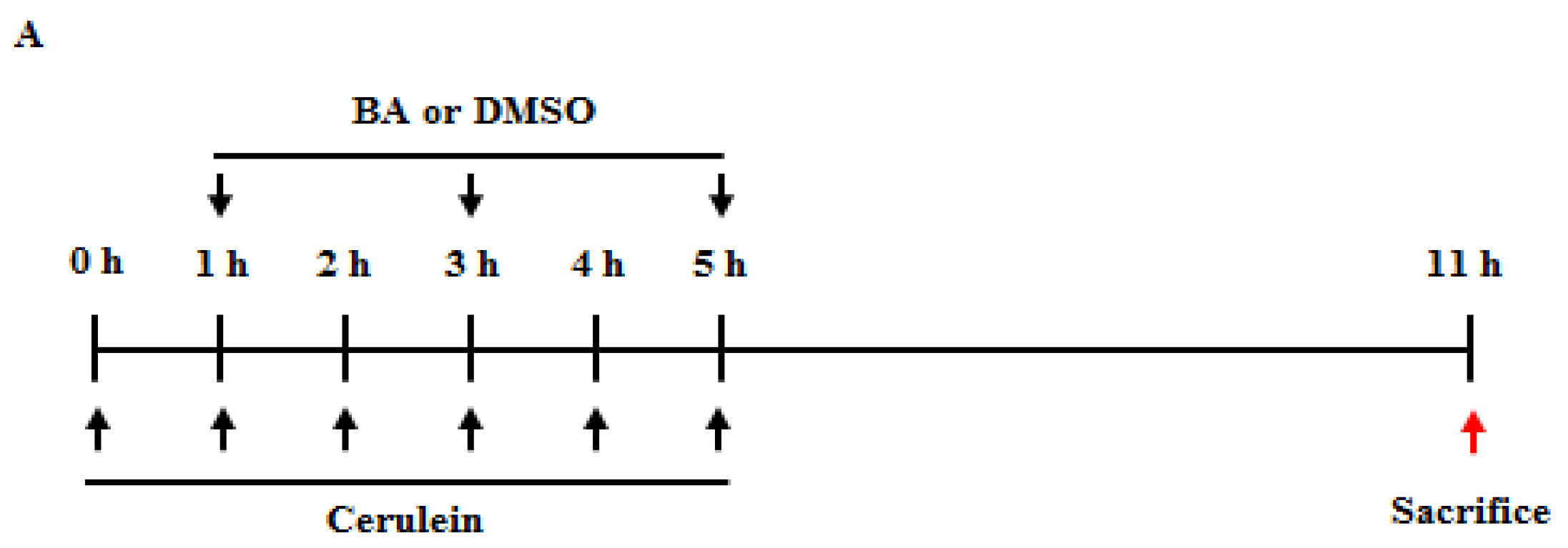 Ijms 22 06871 g006a Ijms 22 06871 g006a