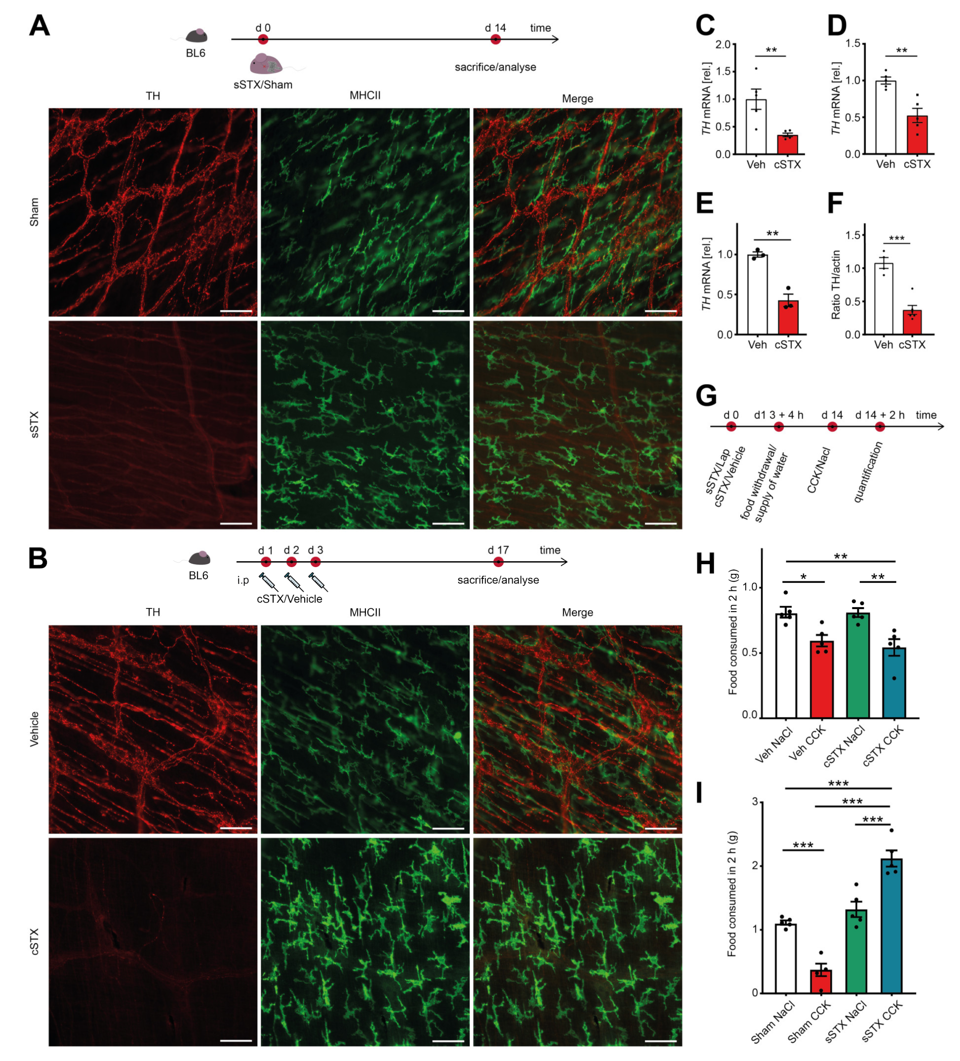 Ijms 22 06872 g001 550