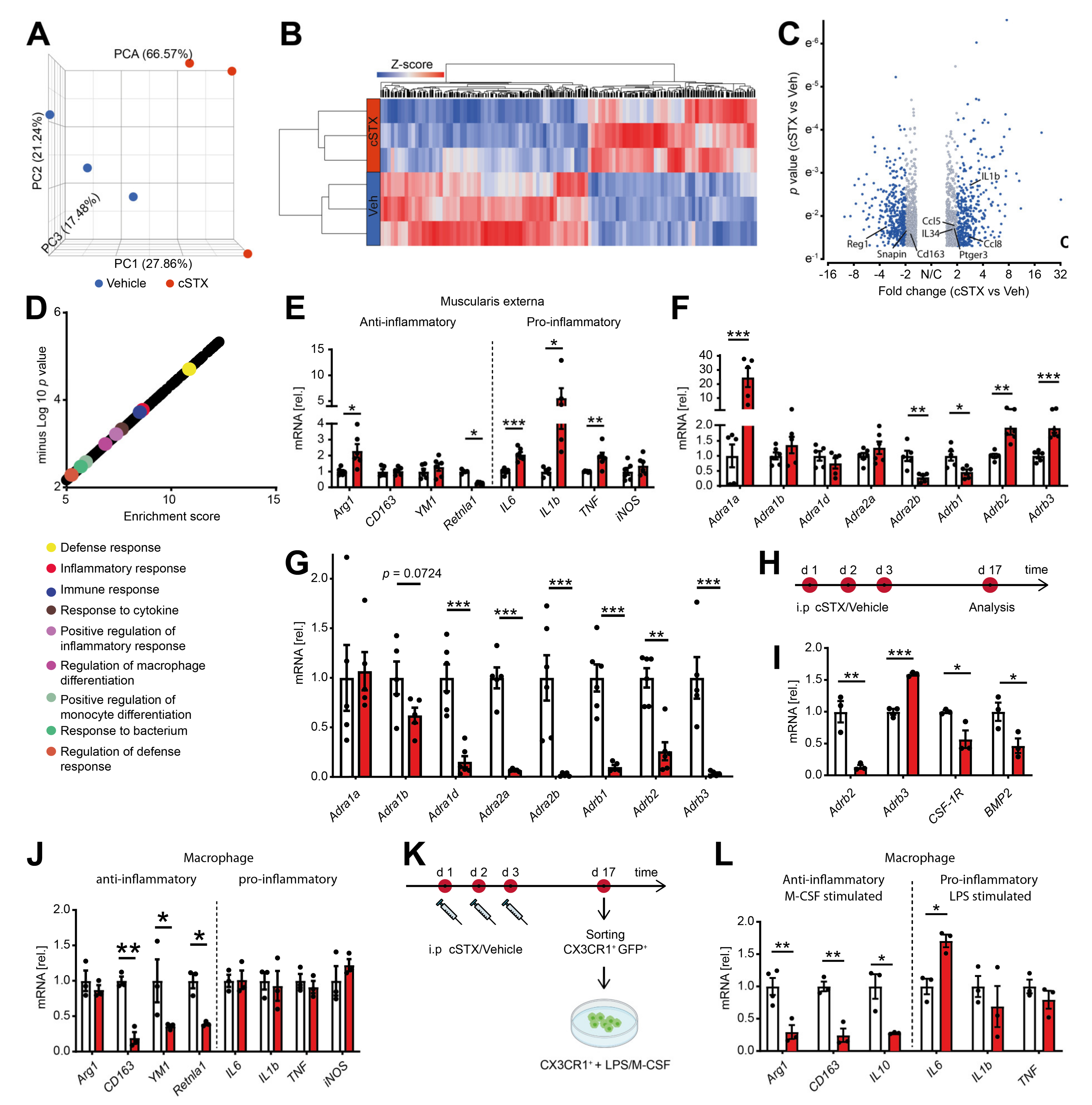 Ijms 22 06872 g003 550