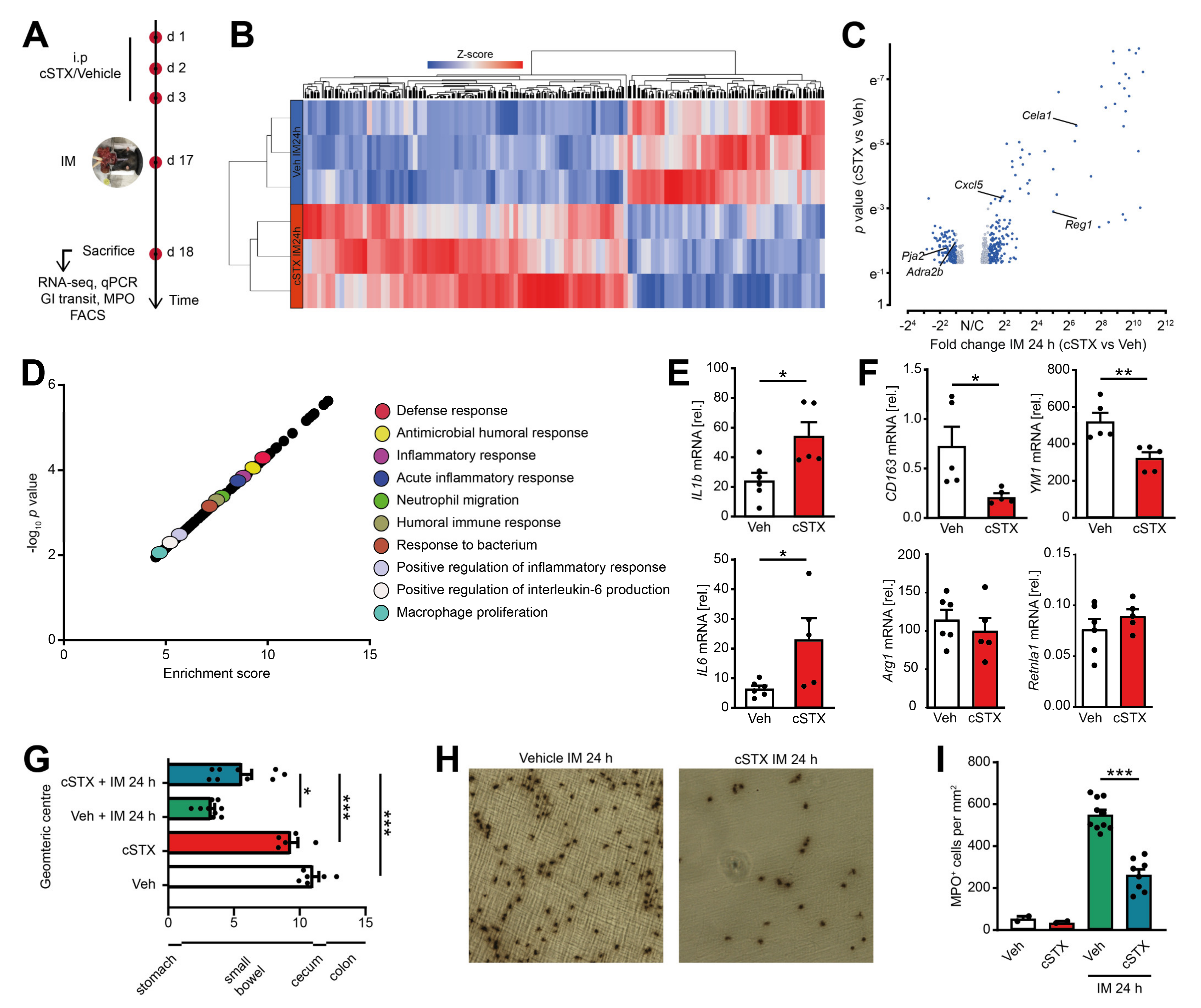 Ijms 22 06872 g005 550