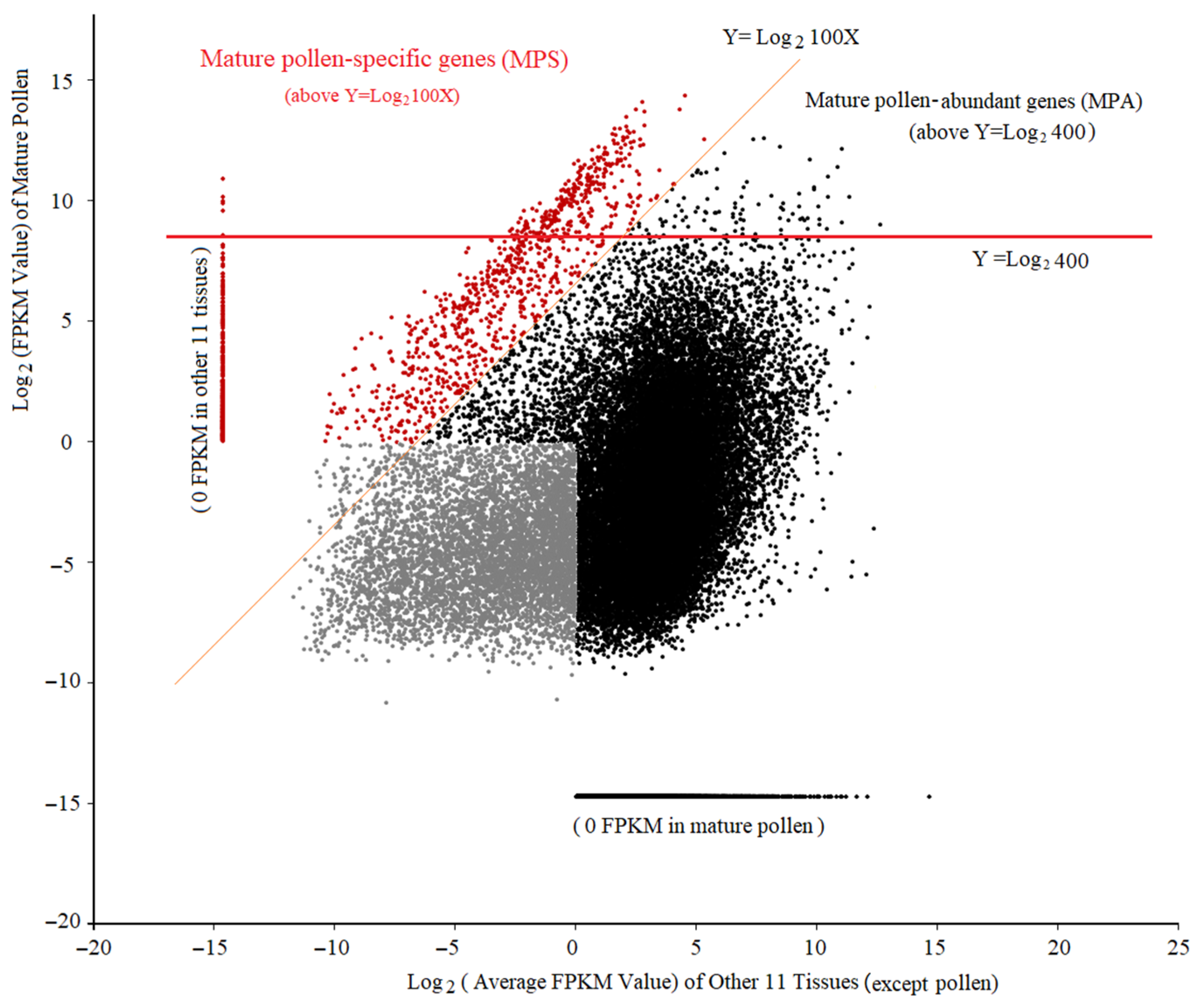 Ijms 22 06877 g002 Ijms 22 06877 g002