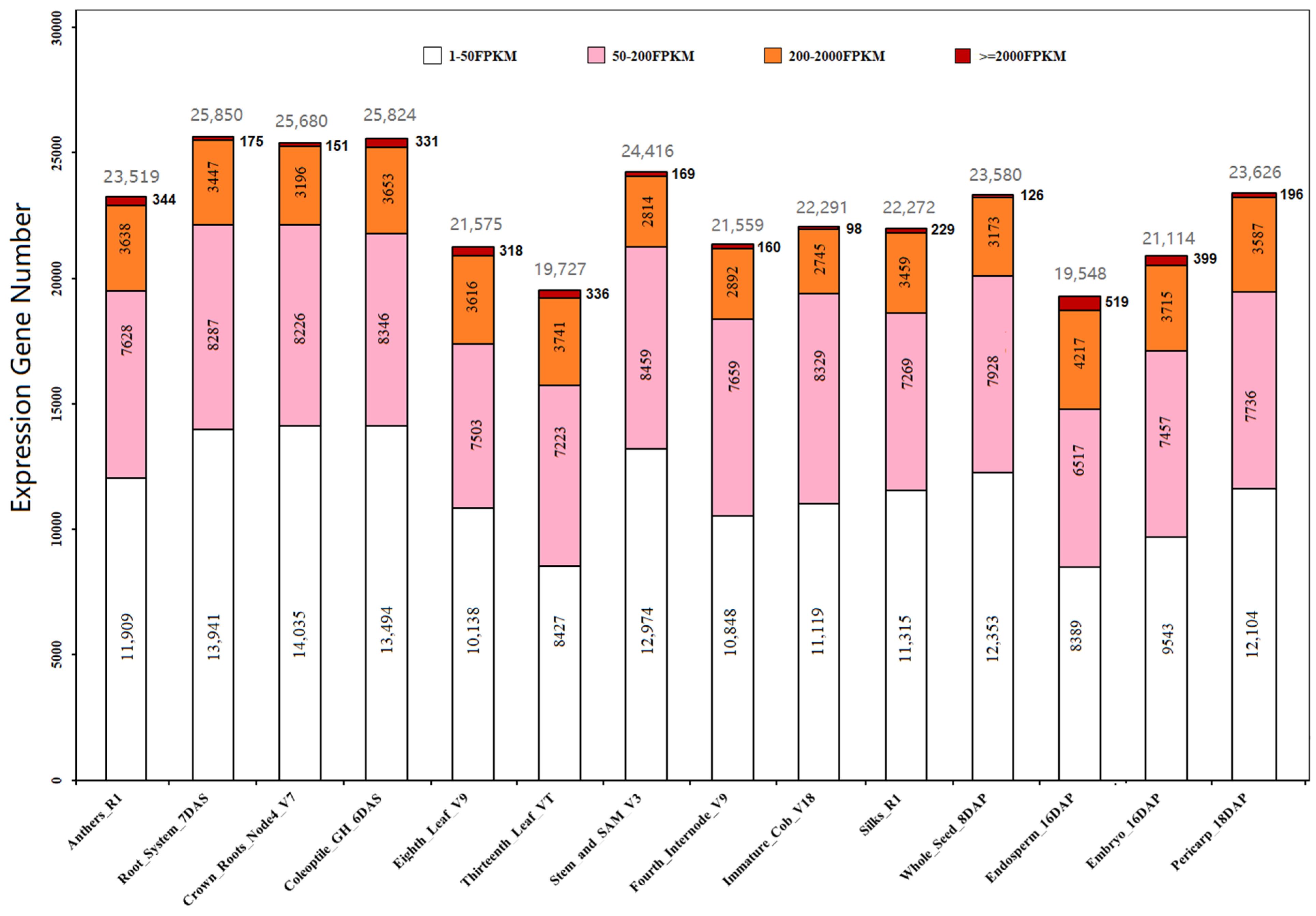 Ijms 22 06877 g003 Ijms 22 06877 g003