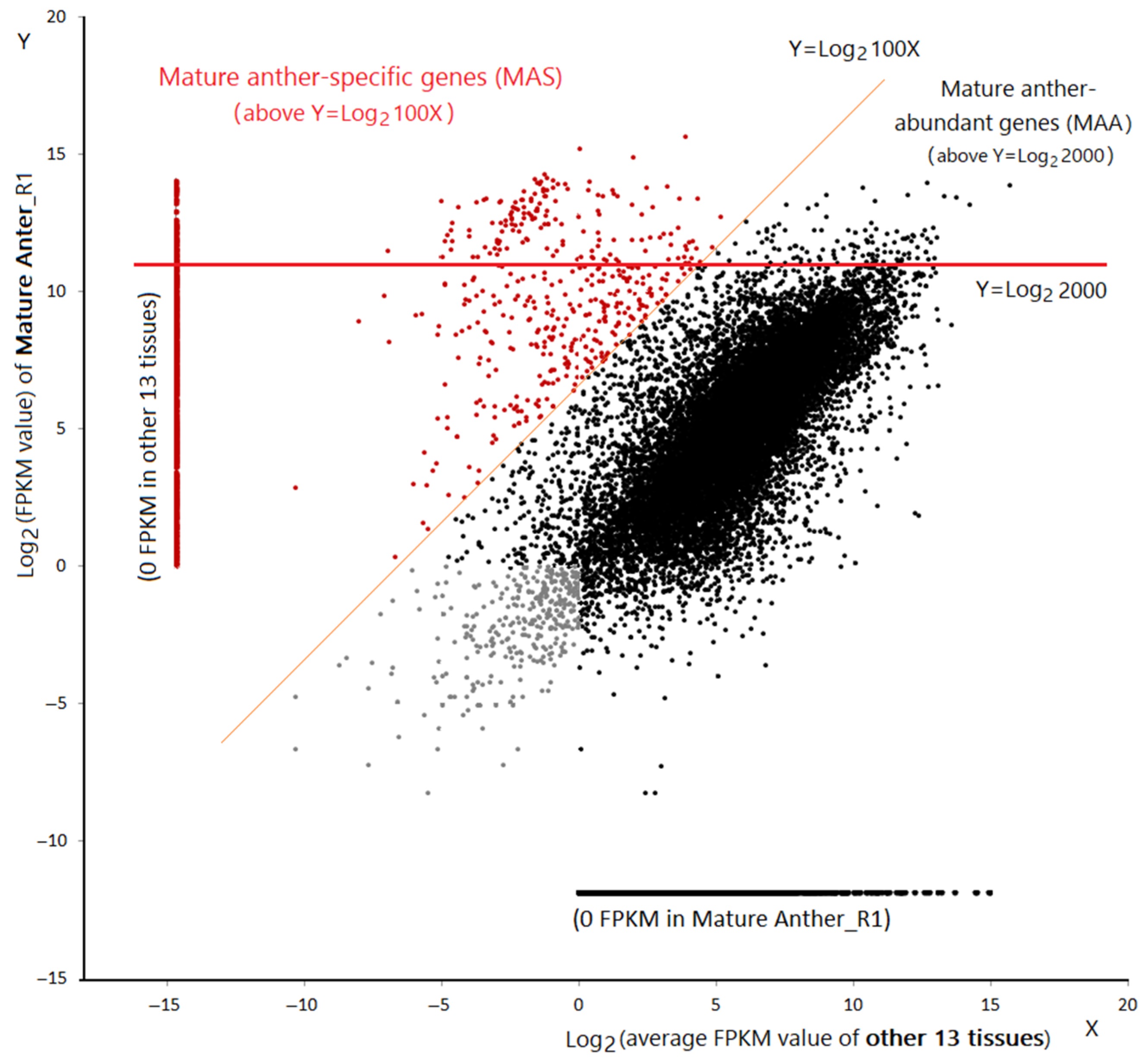 Ijms 22 06877 g005 Ijms 22 06877 g005