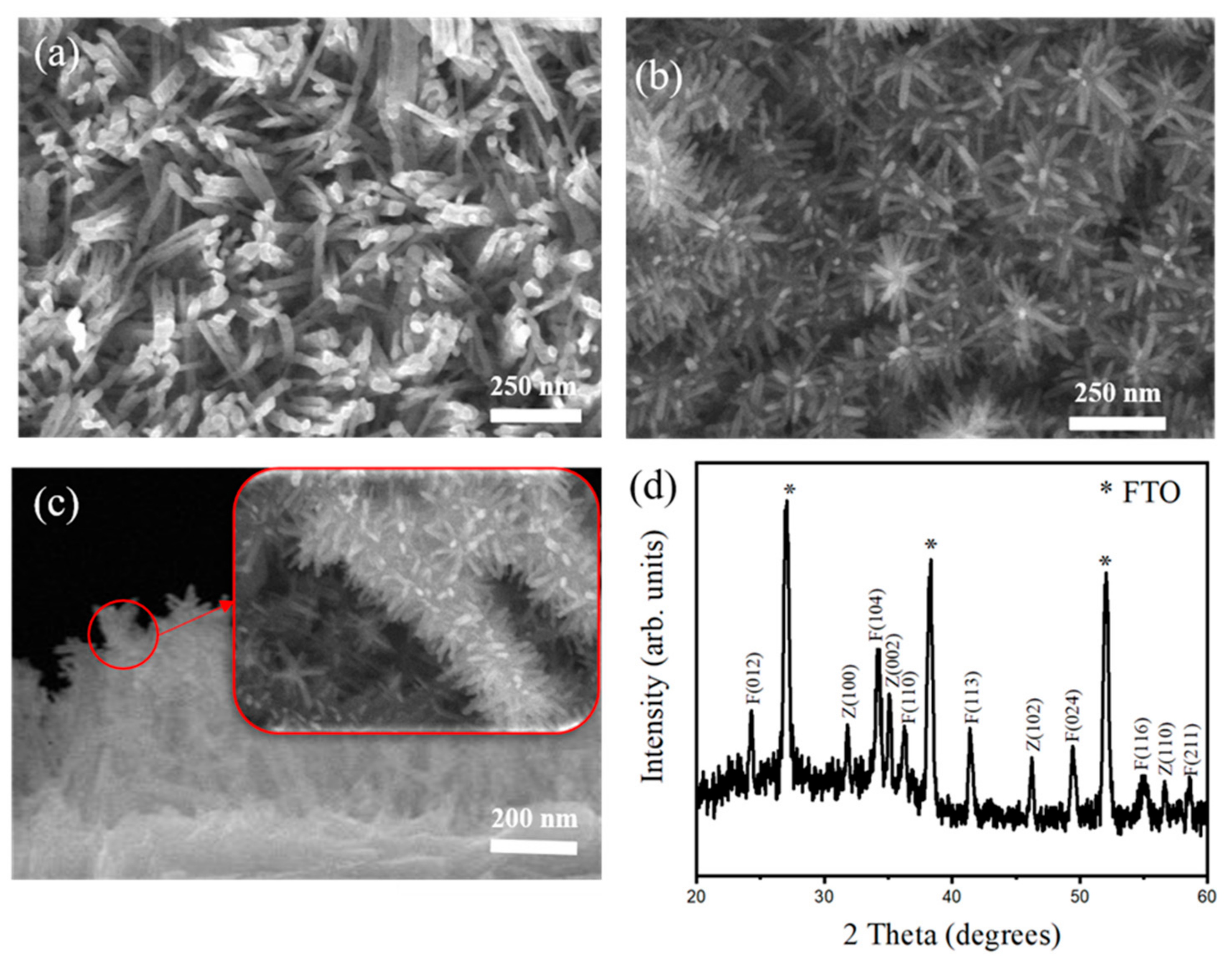 Ijms 22 06884 g001 550