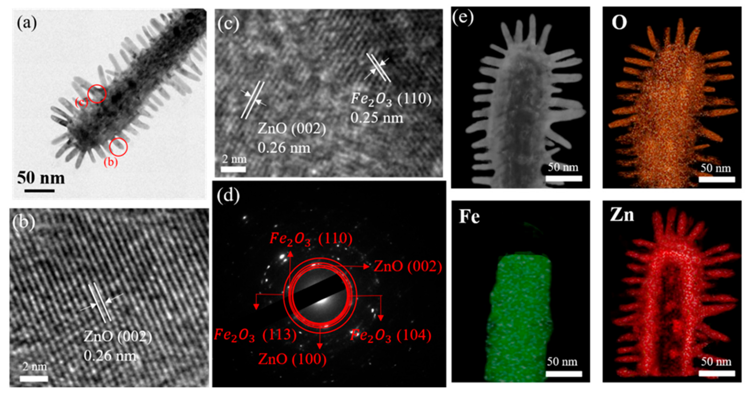 Ijms 22 06884 g003 550