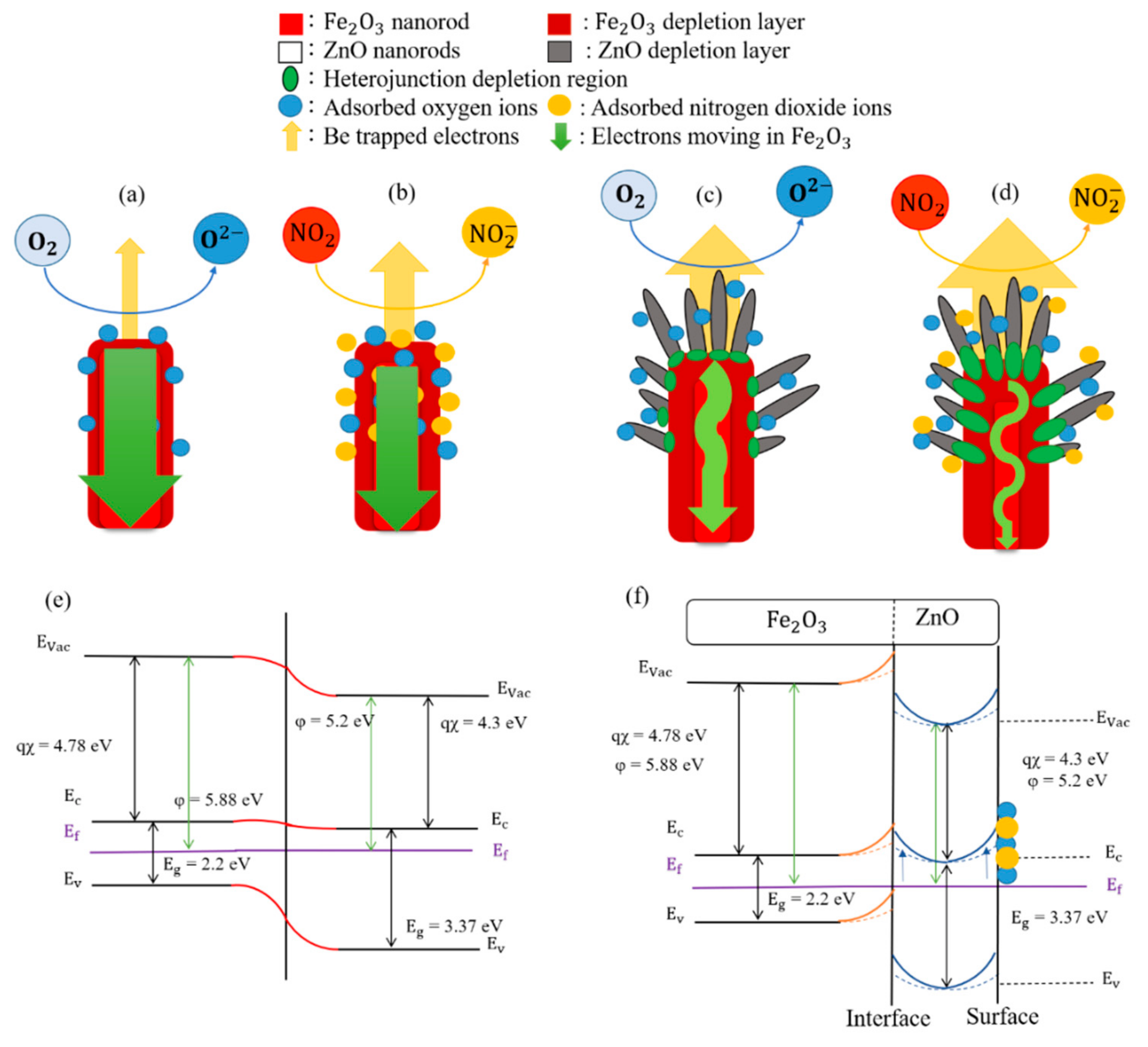 Ijms 22 06884 g006 550