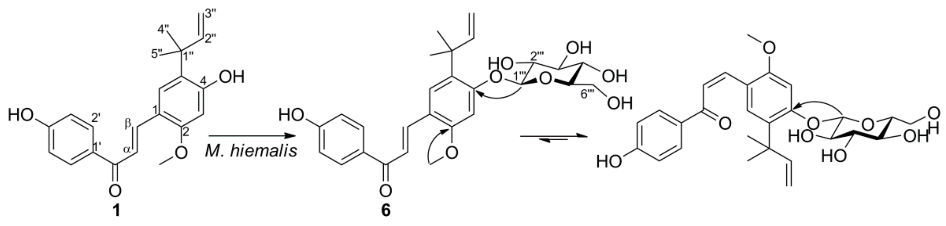 Ijms 22 06893 g002