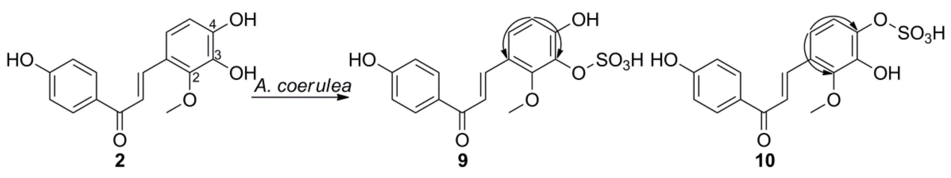 Ijms 22 06893 g004