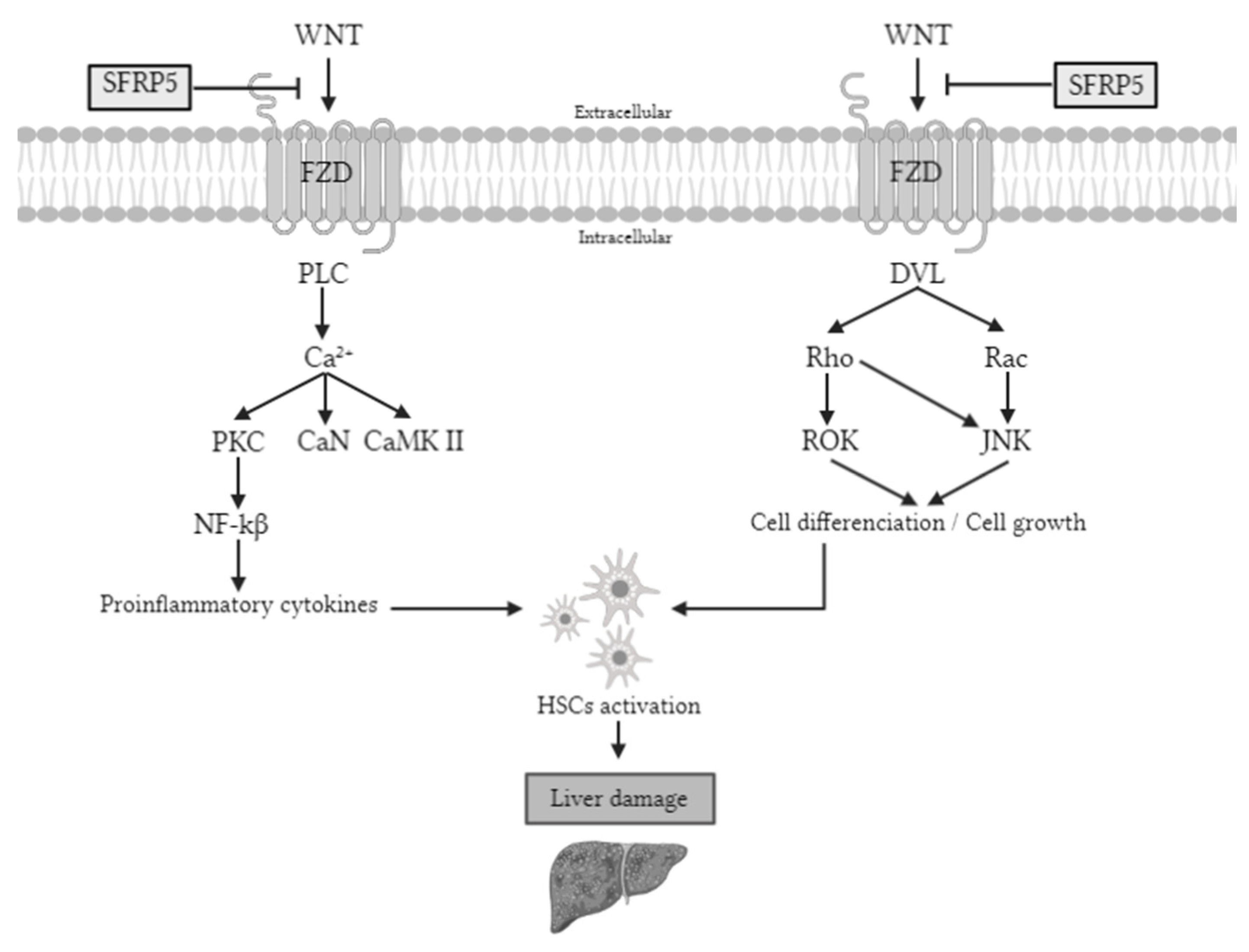Ijms 22 06895 g001 550