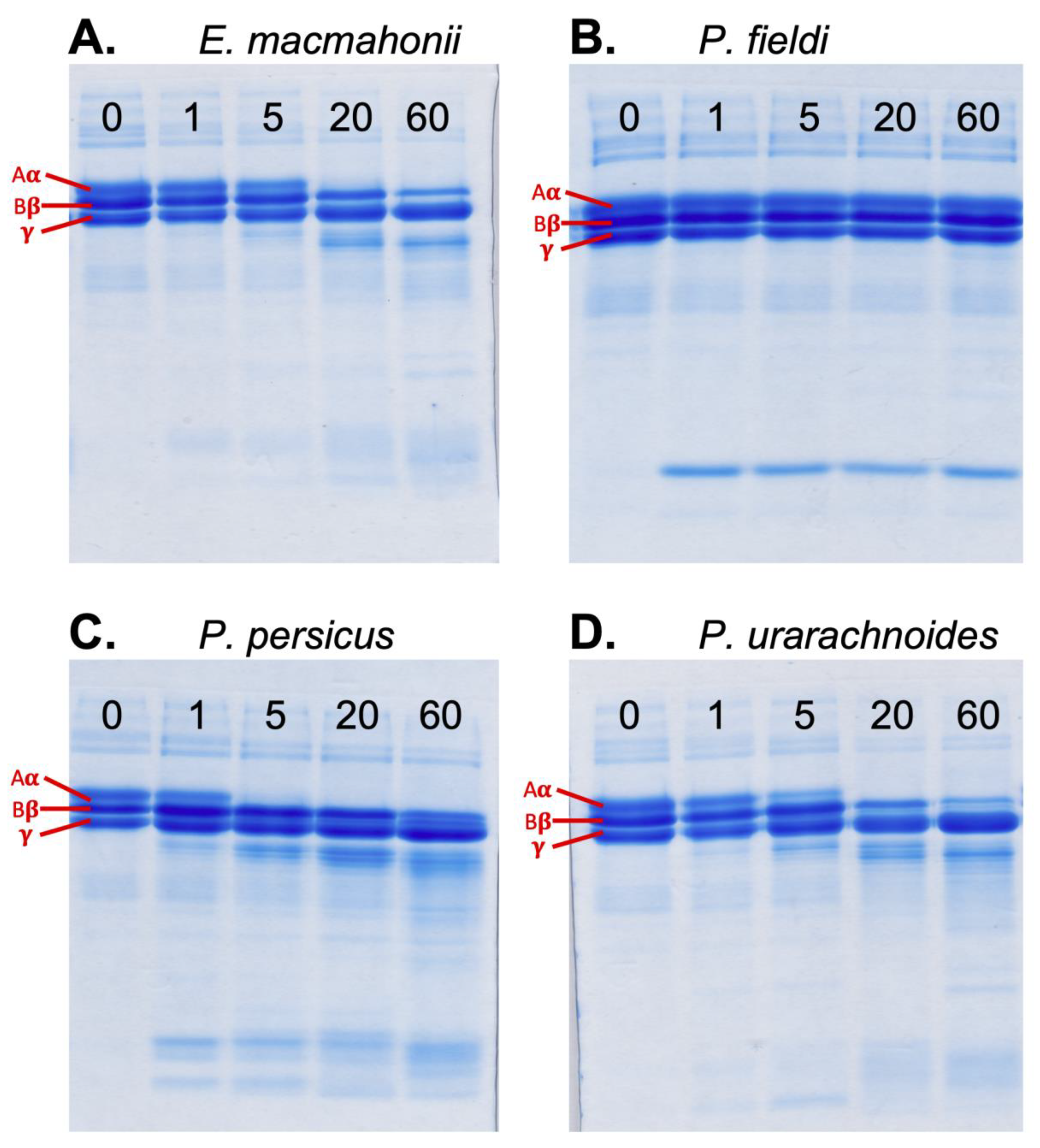 Ijms 22 06896 g006 550