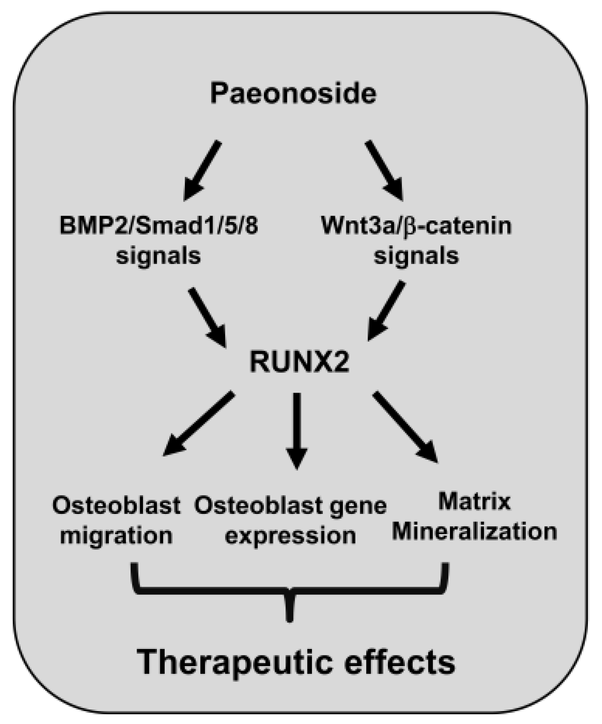 Ijms 22 06899 g008 550