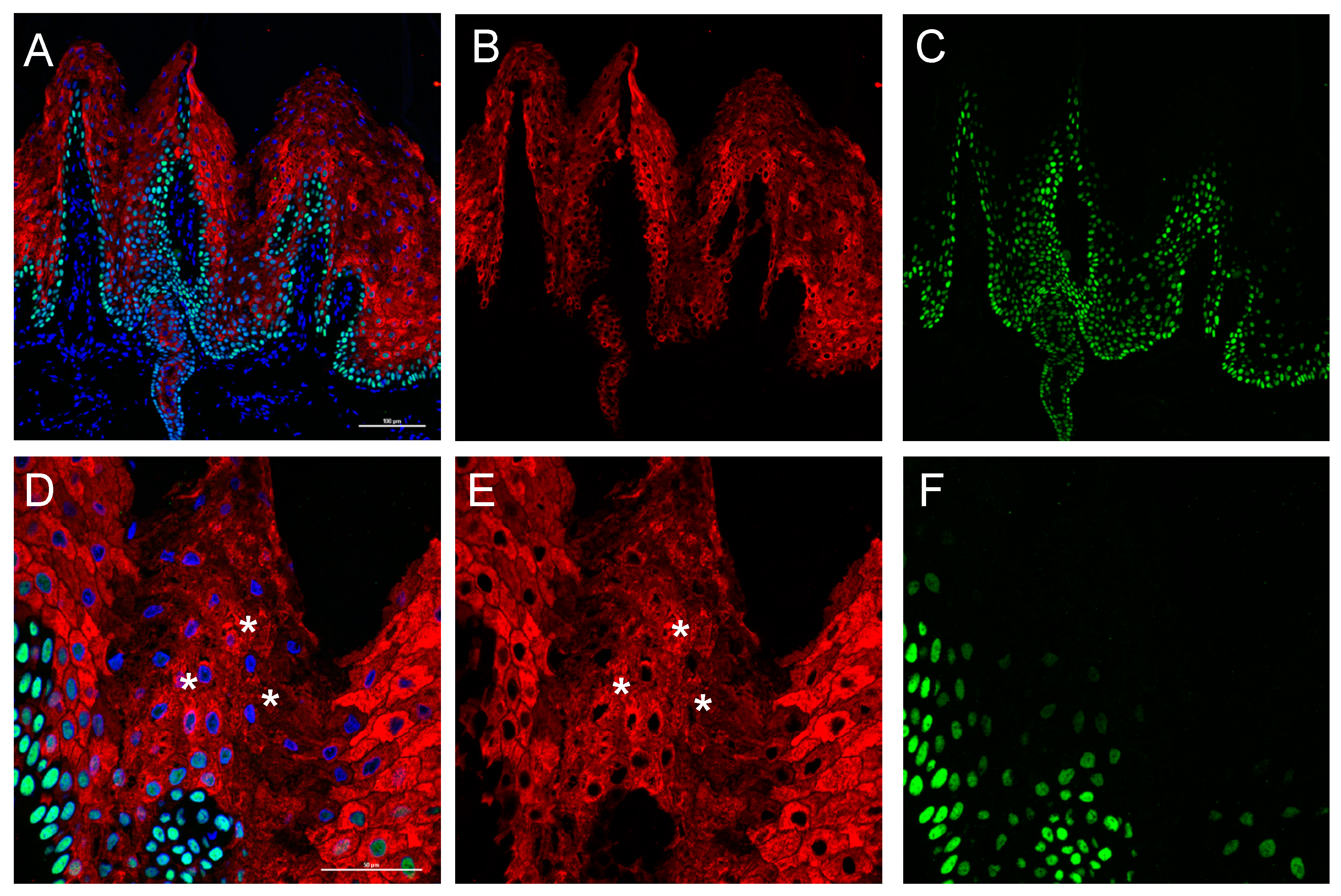 Ijms 22 06901 g005 550