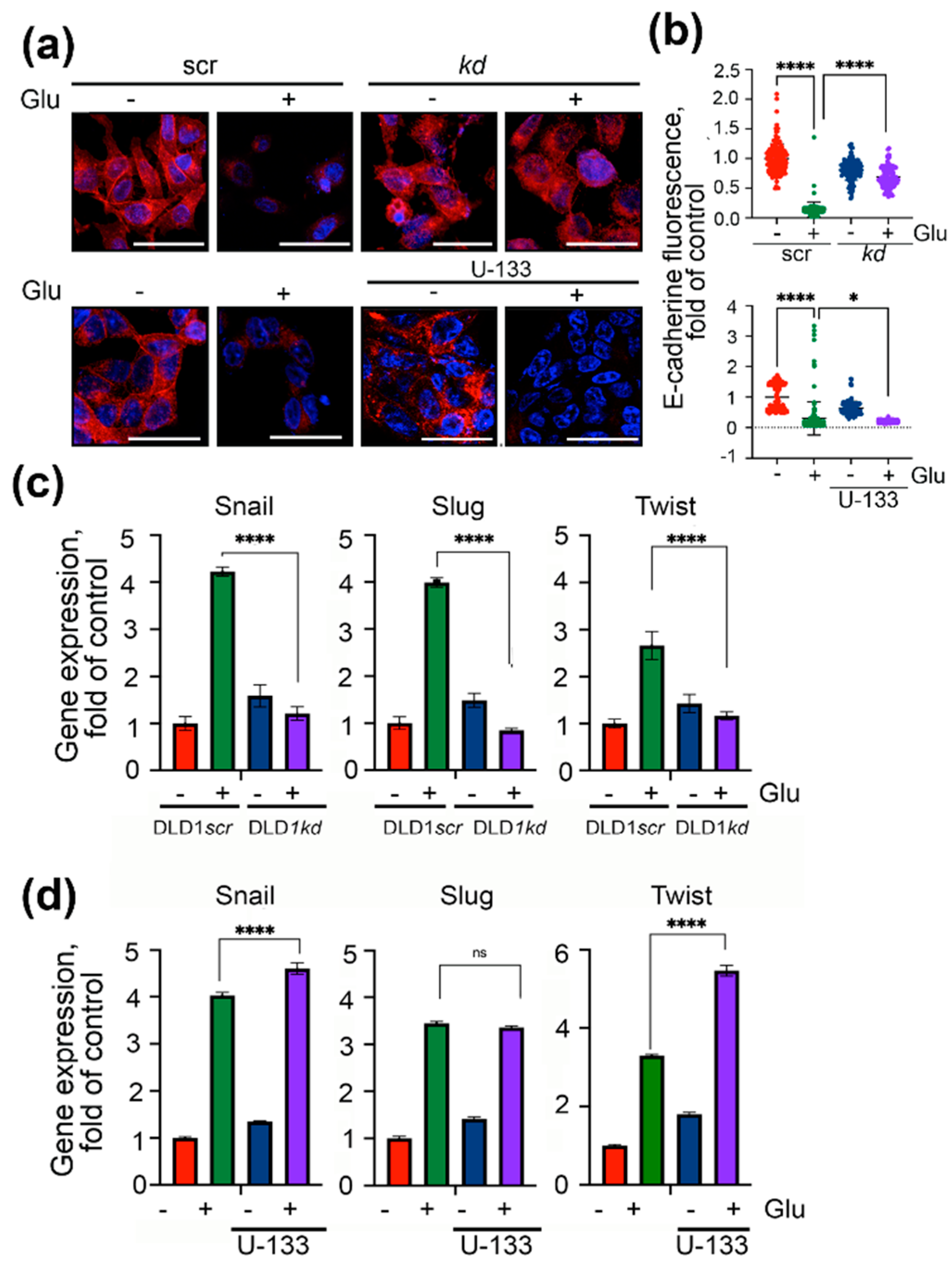 Ijms 22 06902 g002 550
