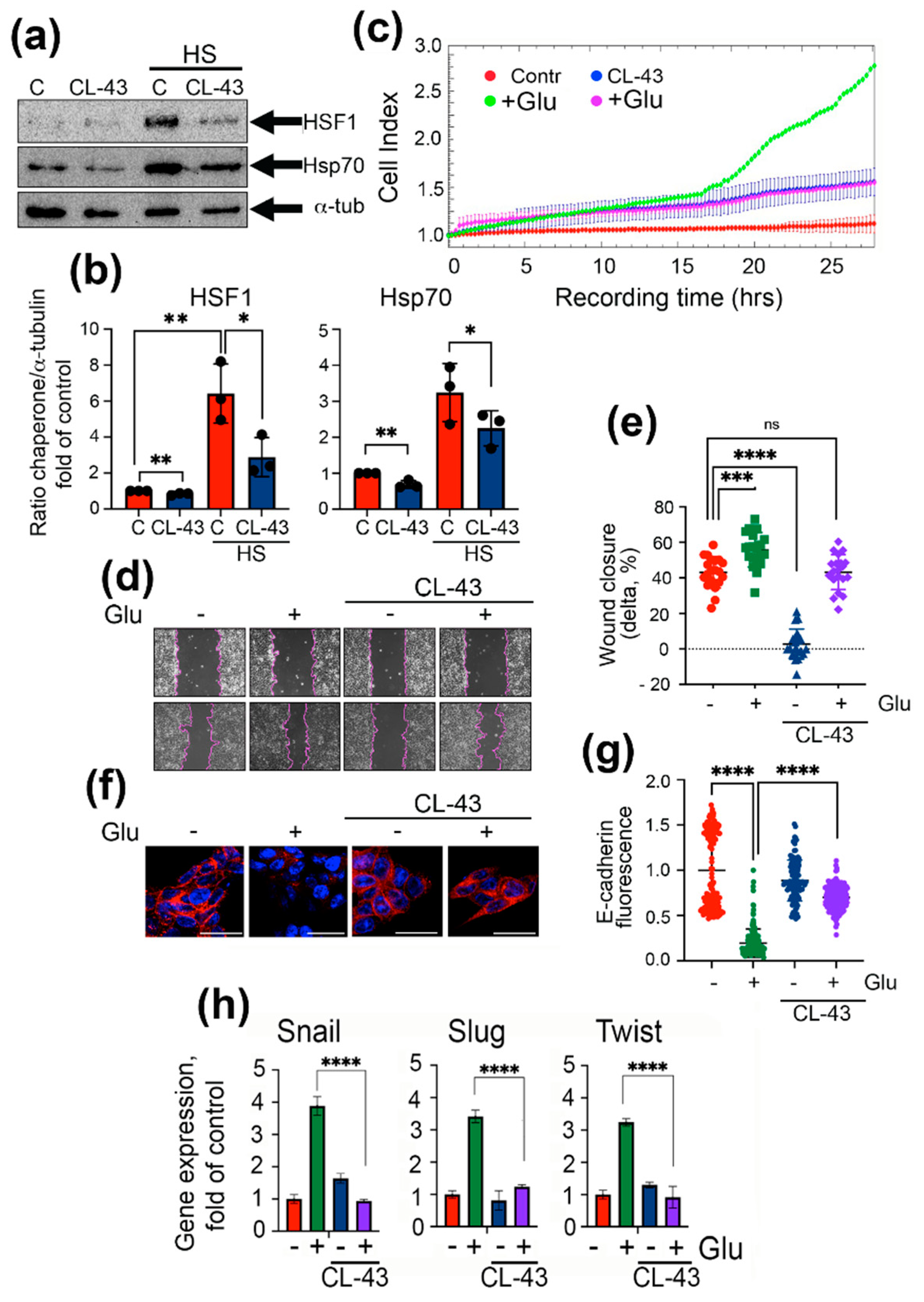 Ijms 22 06902 g003 550
