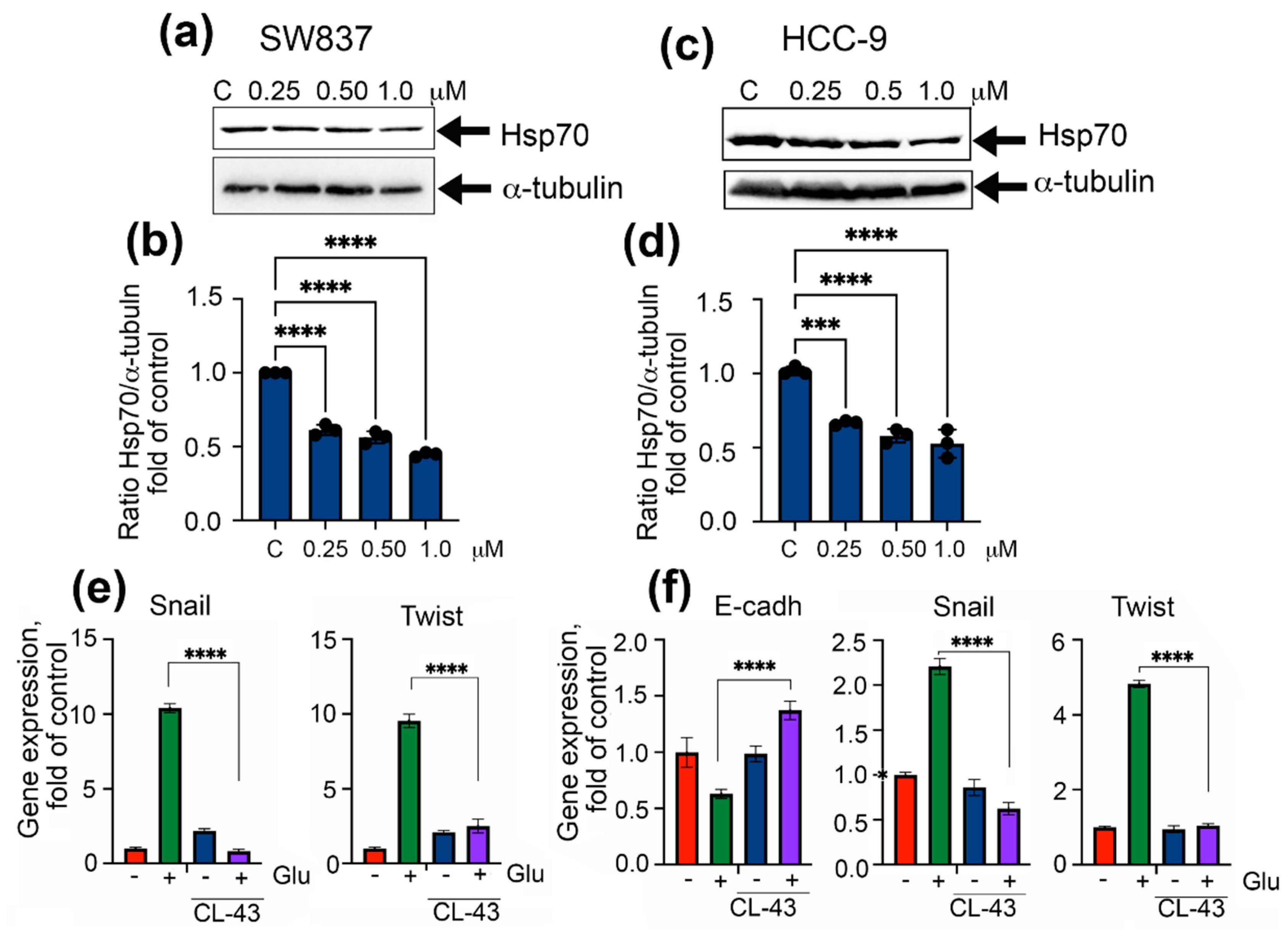 Ijms 22 06902 g004 550