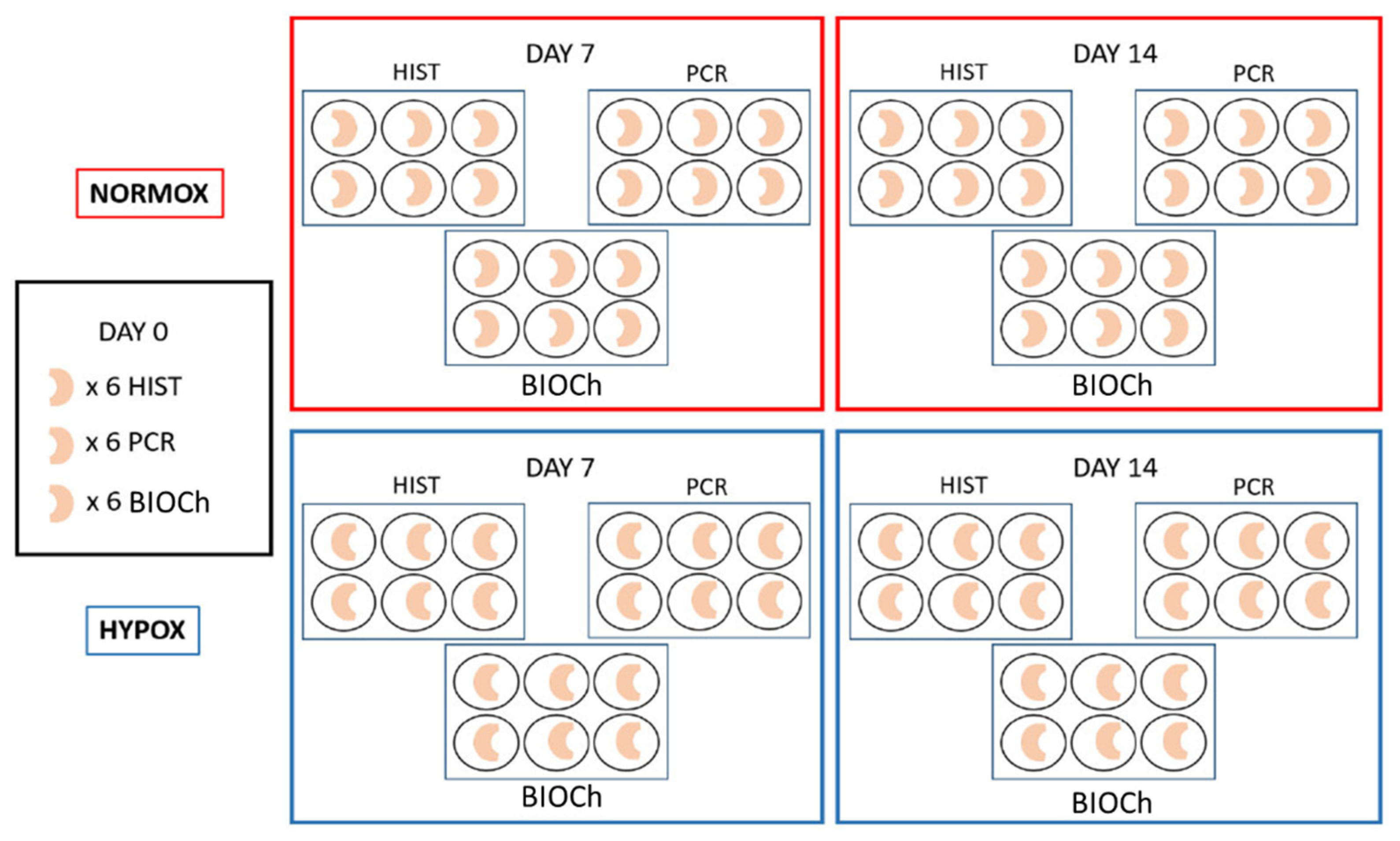 Ijms 22 06905 g005 Ijms 22 06905 g005