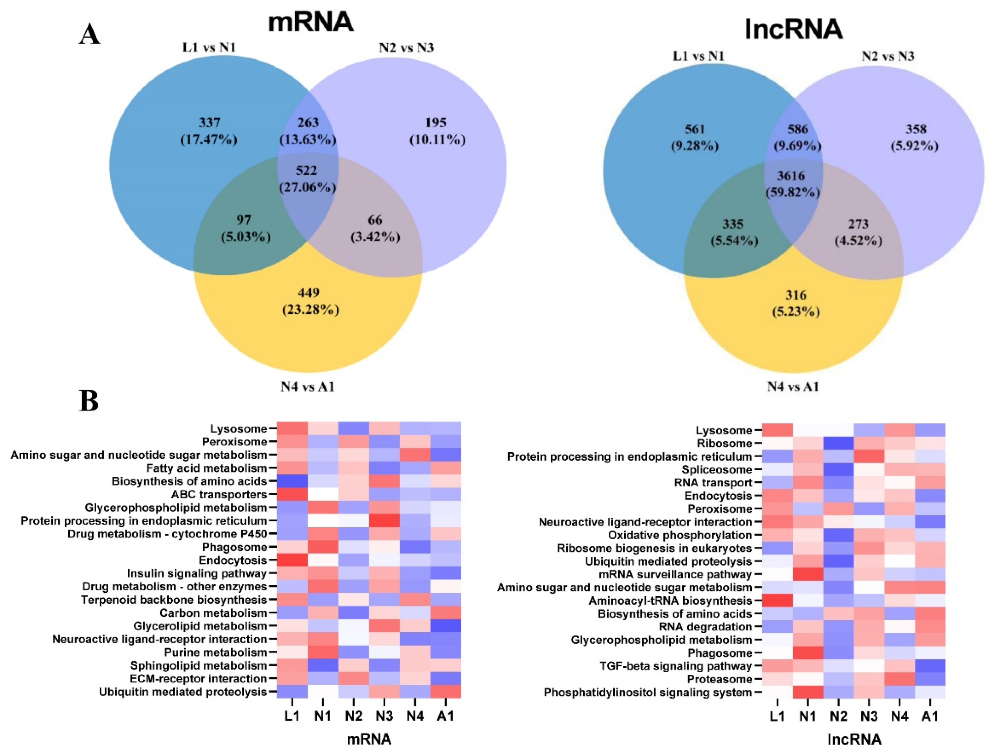 Ijms 22 06909 g003 550