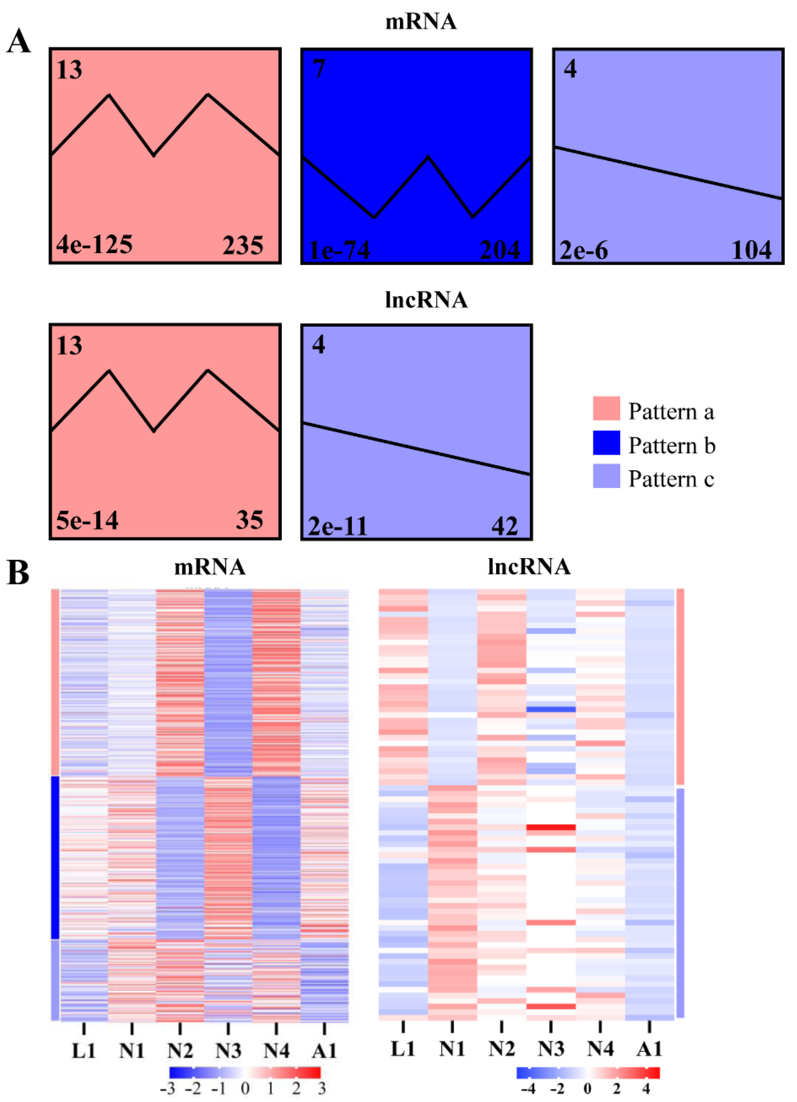 Ijms 22 06909 g005 550