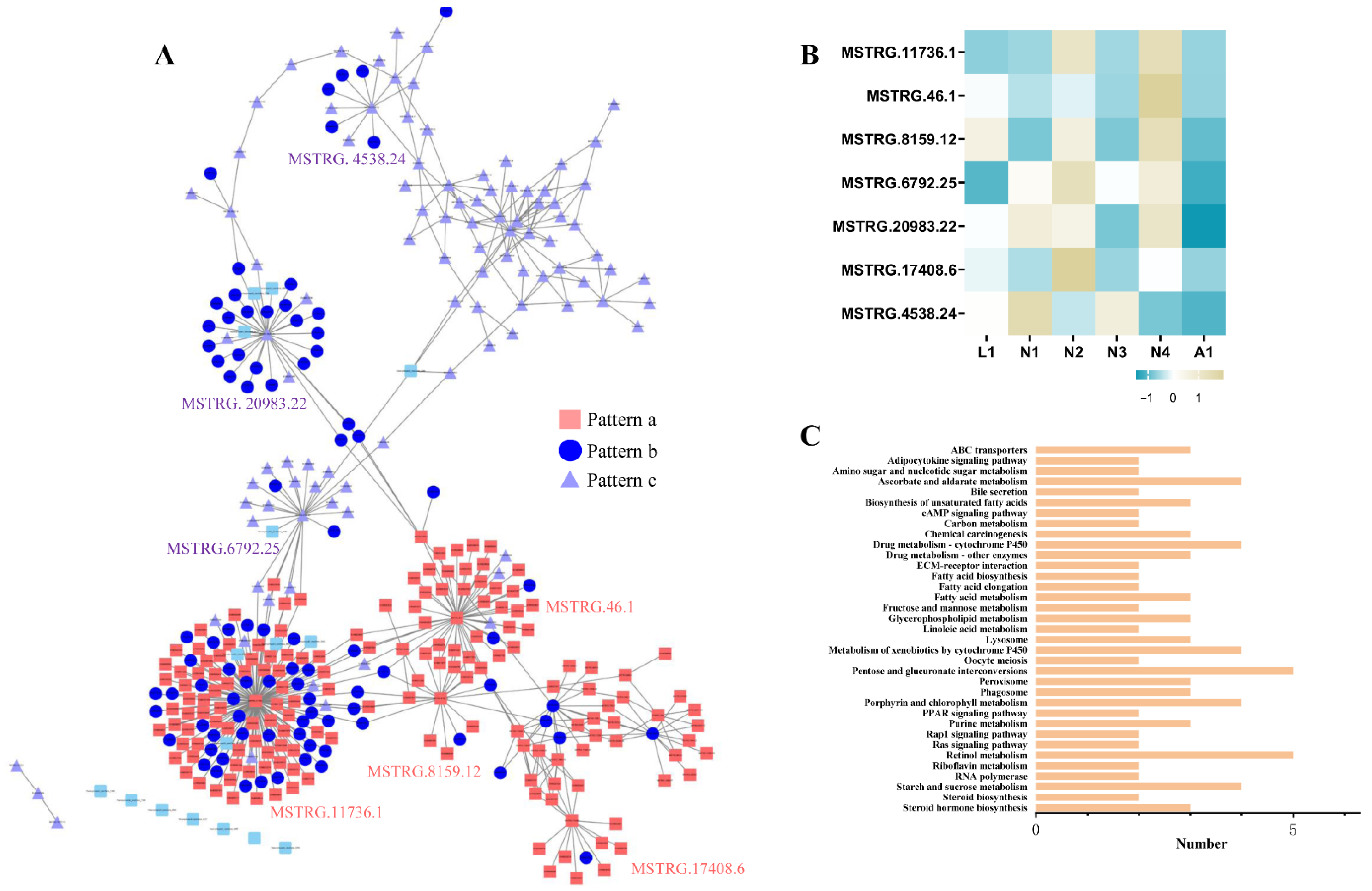 Ijms 22 06909 g006 550
