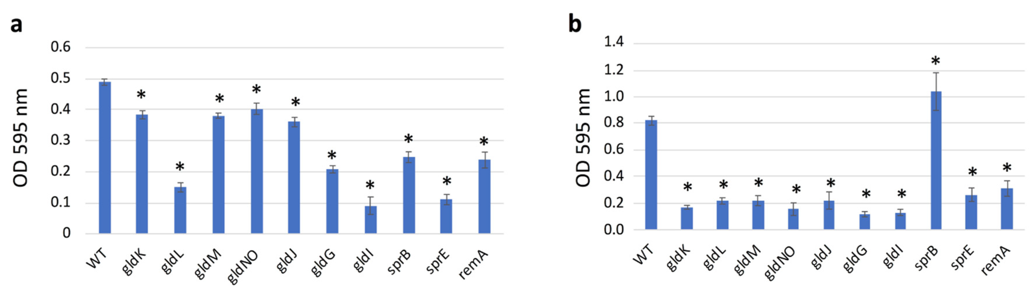 Ijms 22 06911 g008 550