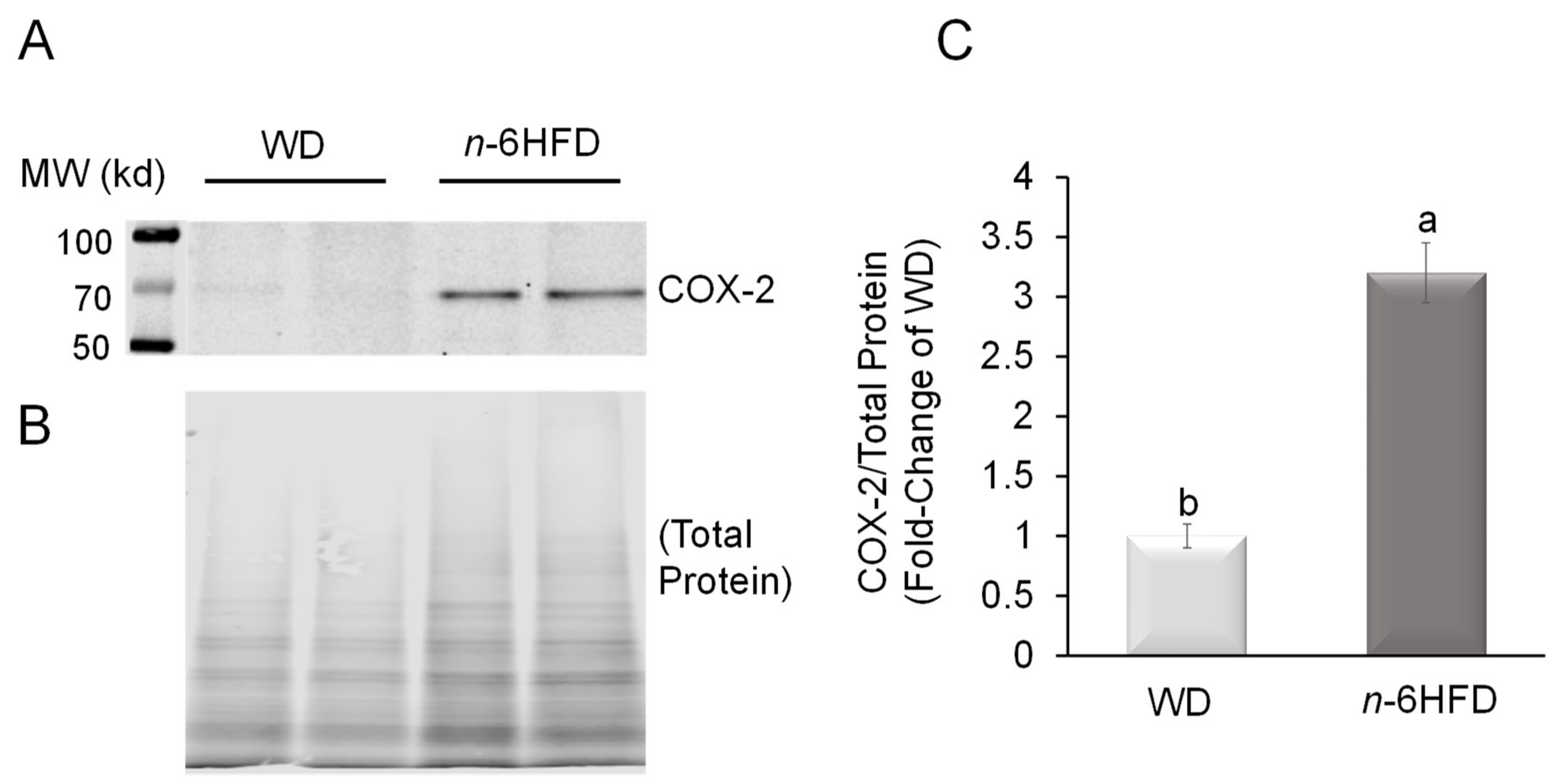 Ijms 22 06919 g004 Ijms 22 06919 g004