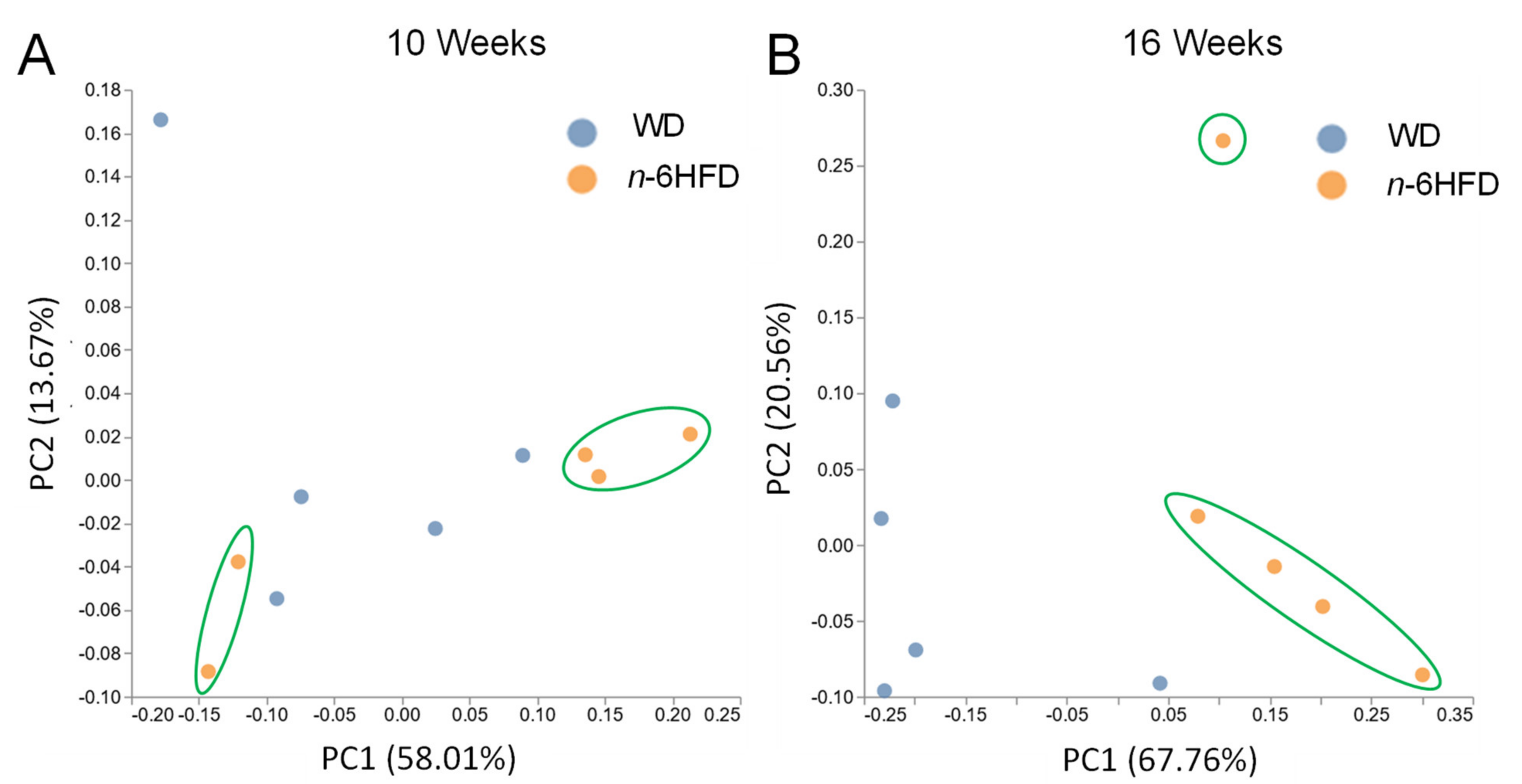 Ijms 22 06919 g007 Ijms 22 06919 g007