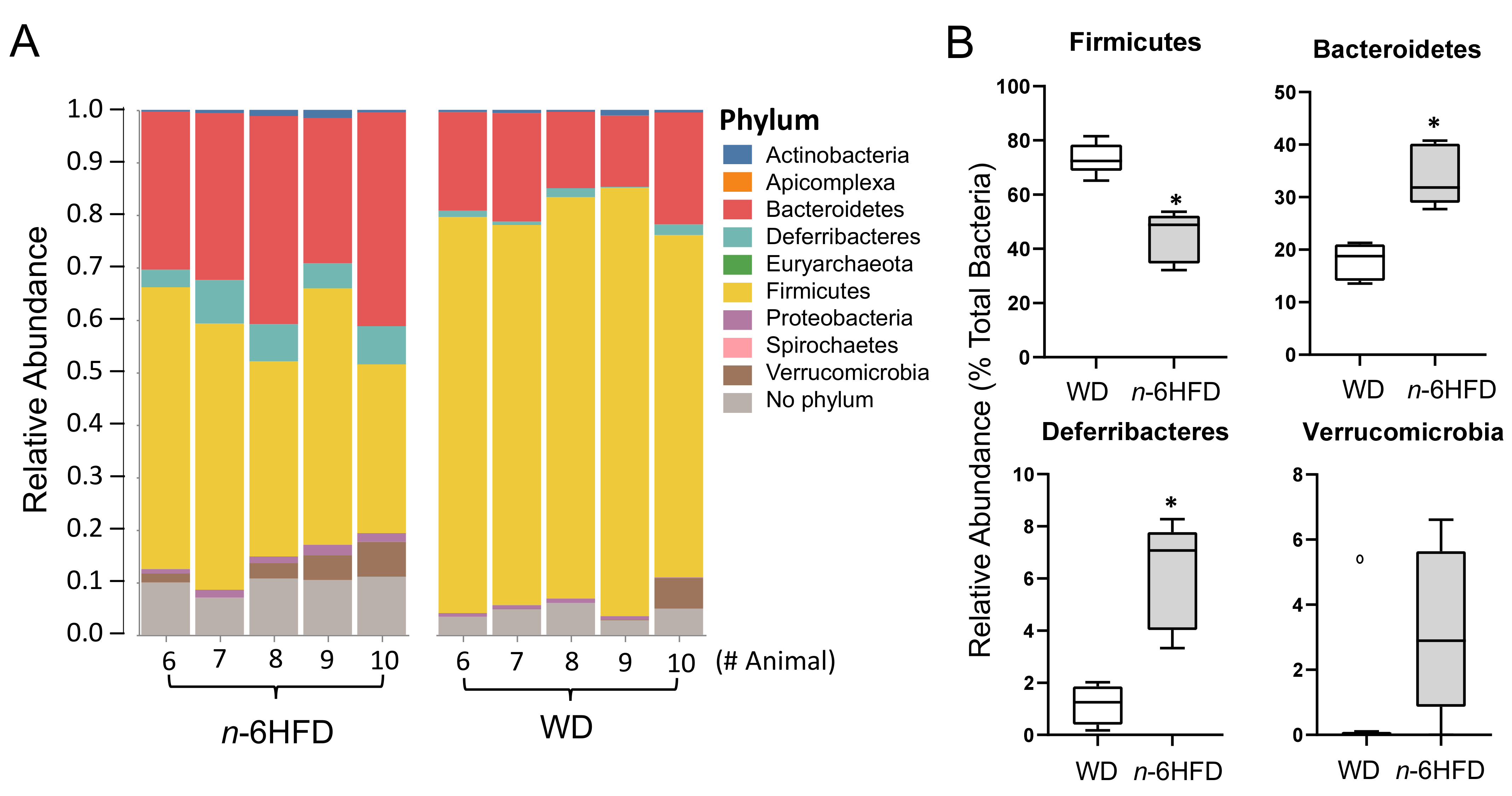 Ijms 22 06919 g008 Ijms 22 06919 g008
