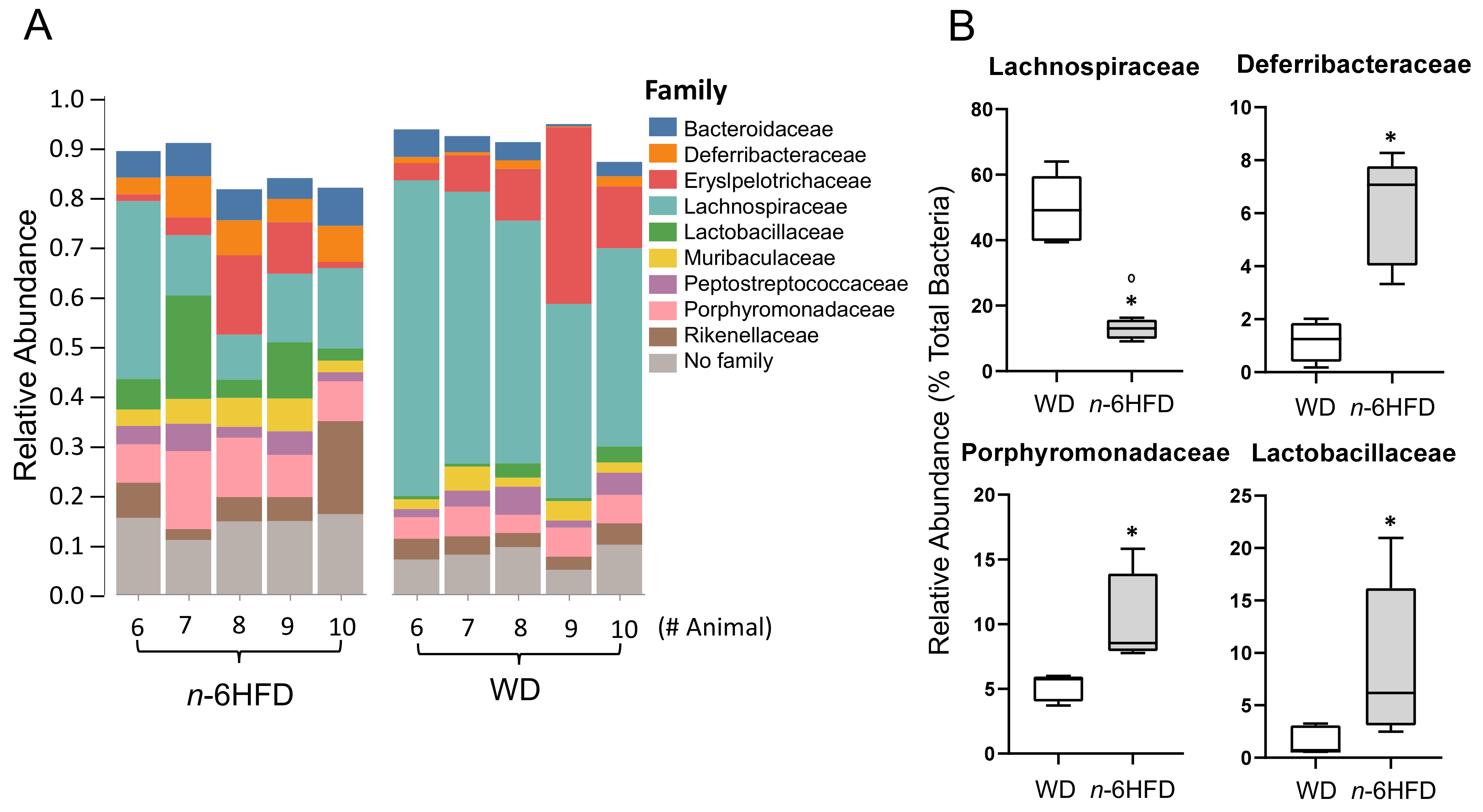 Ijms 22 06919 g010 Ijms 22 06919 g010