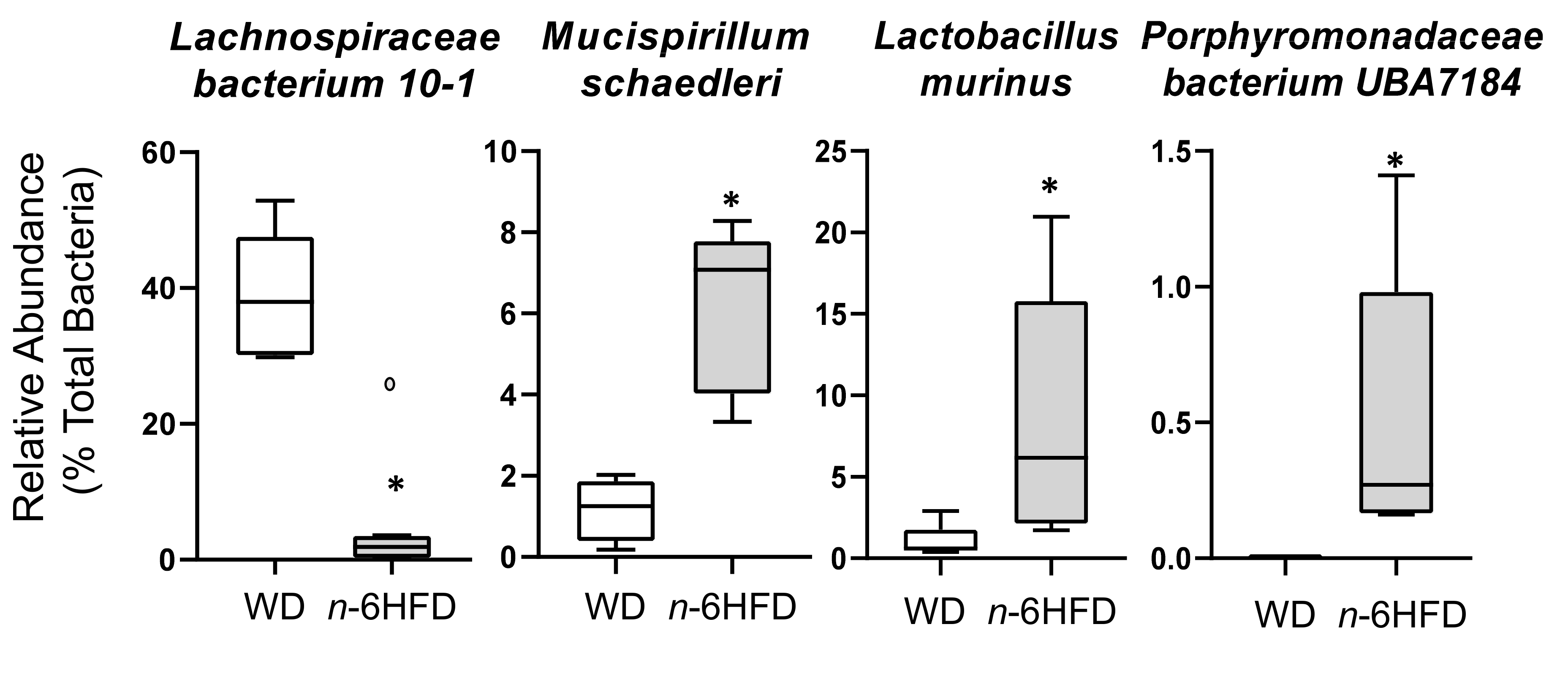 Ijms 22 06919 g011 Ijms 22 06919 g011