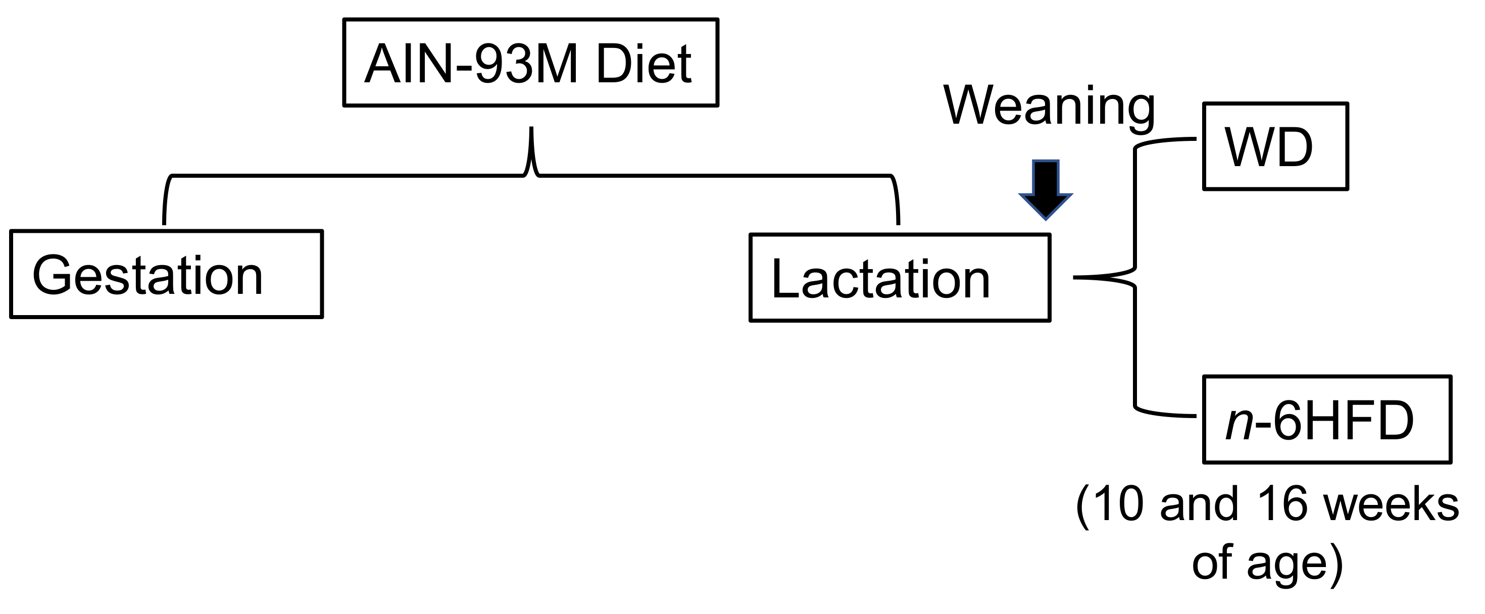 Ijms 22 06919 g012 Ijms 22 06919 g012