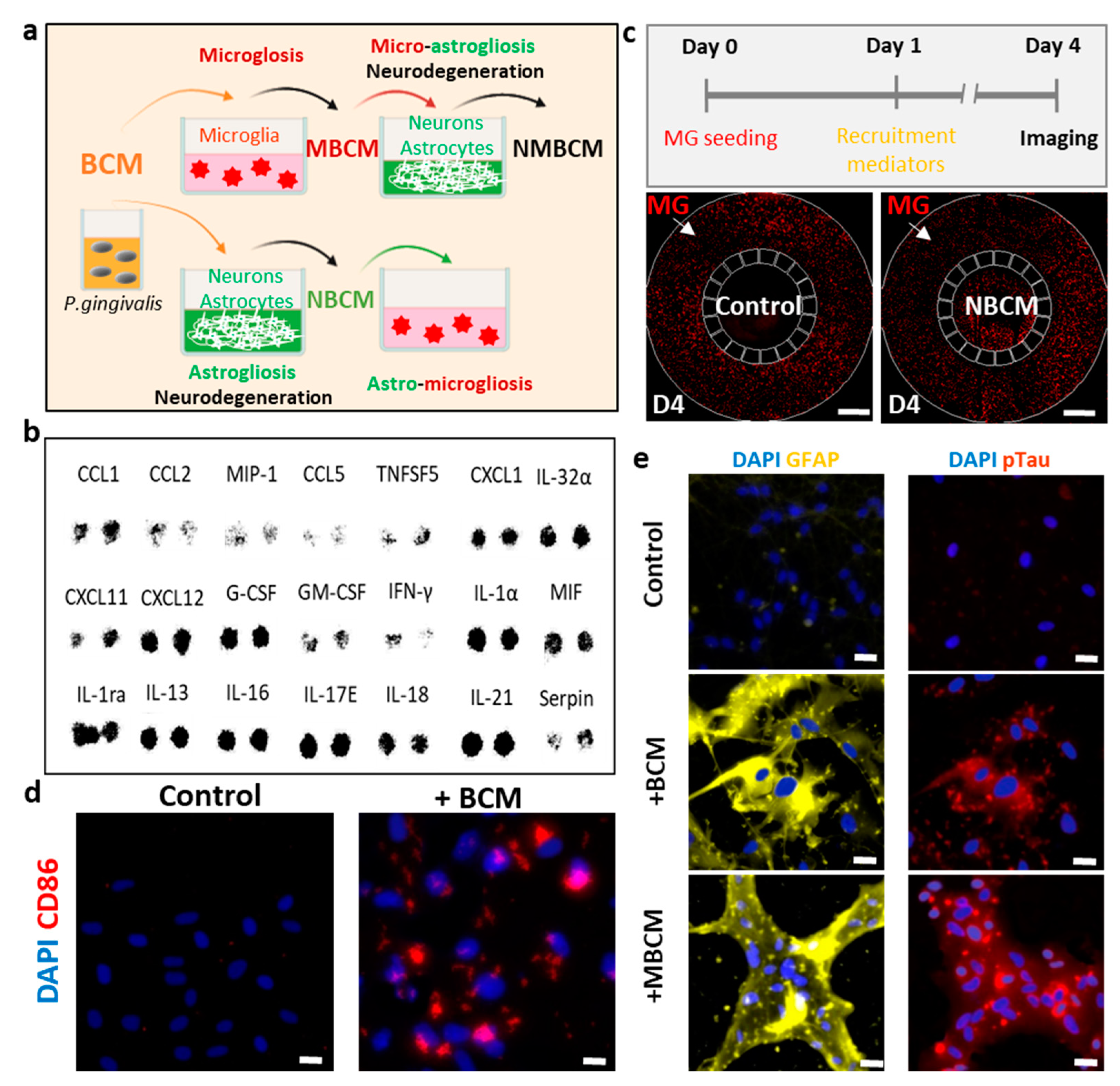 Ijms 22 06925 g001 550