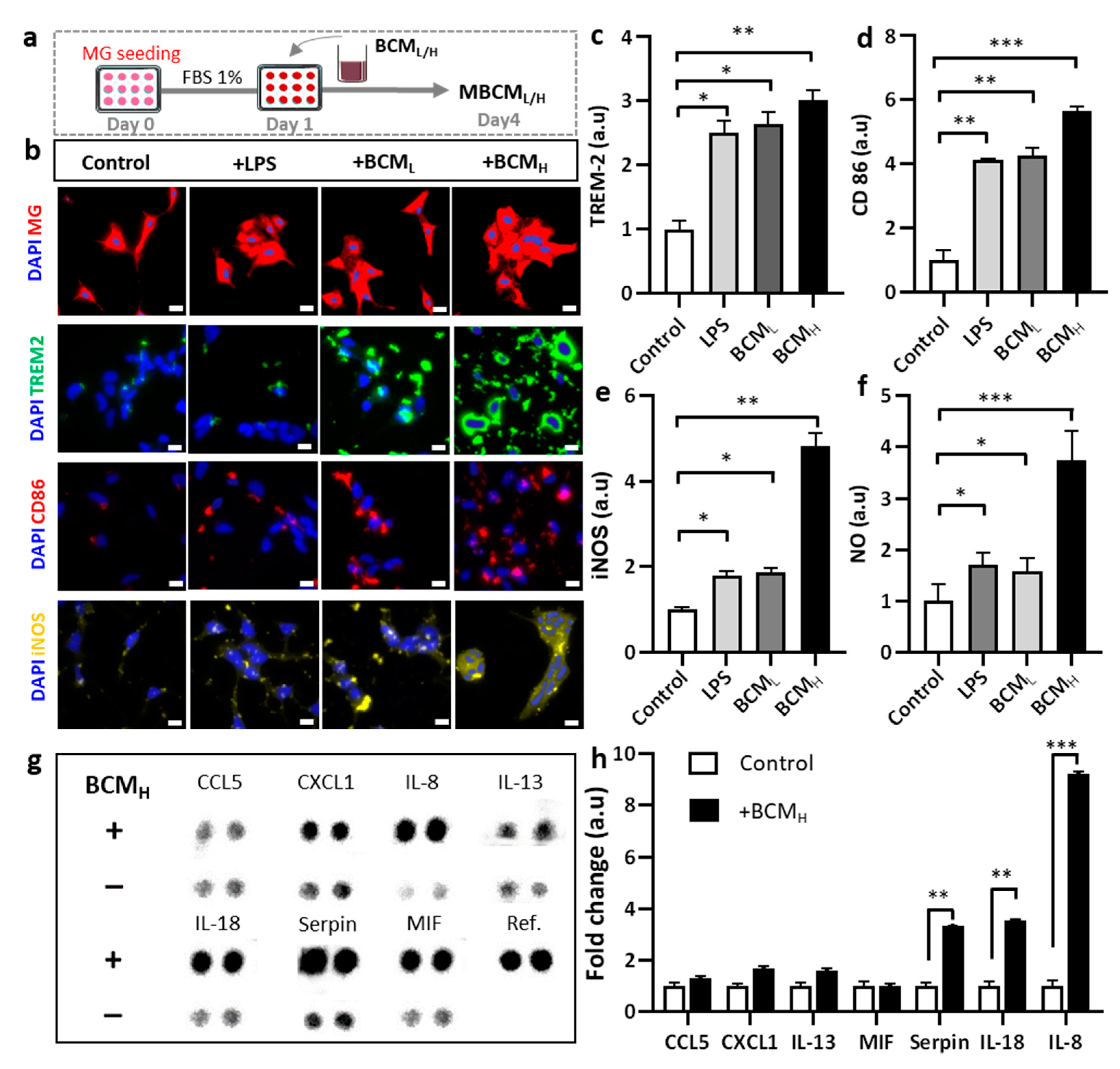 Ijms 22 06925 g002 550