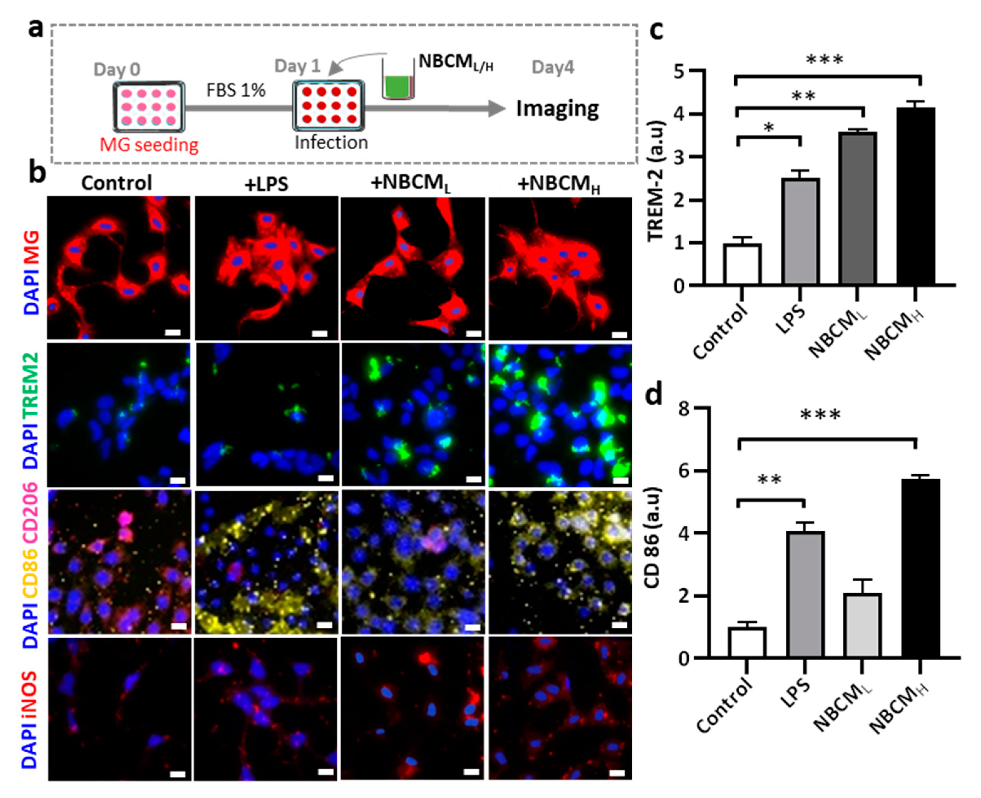Ijms 22 06925 g004a 550