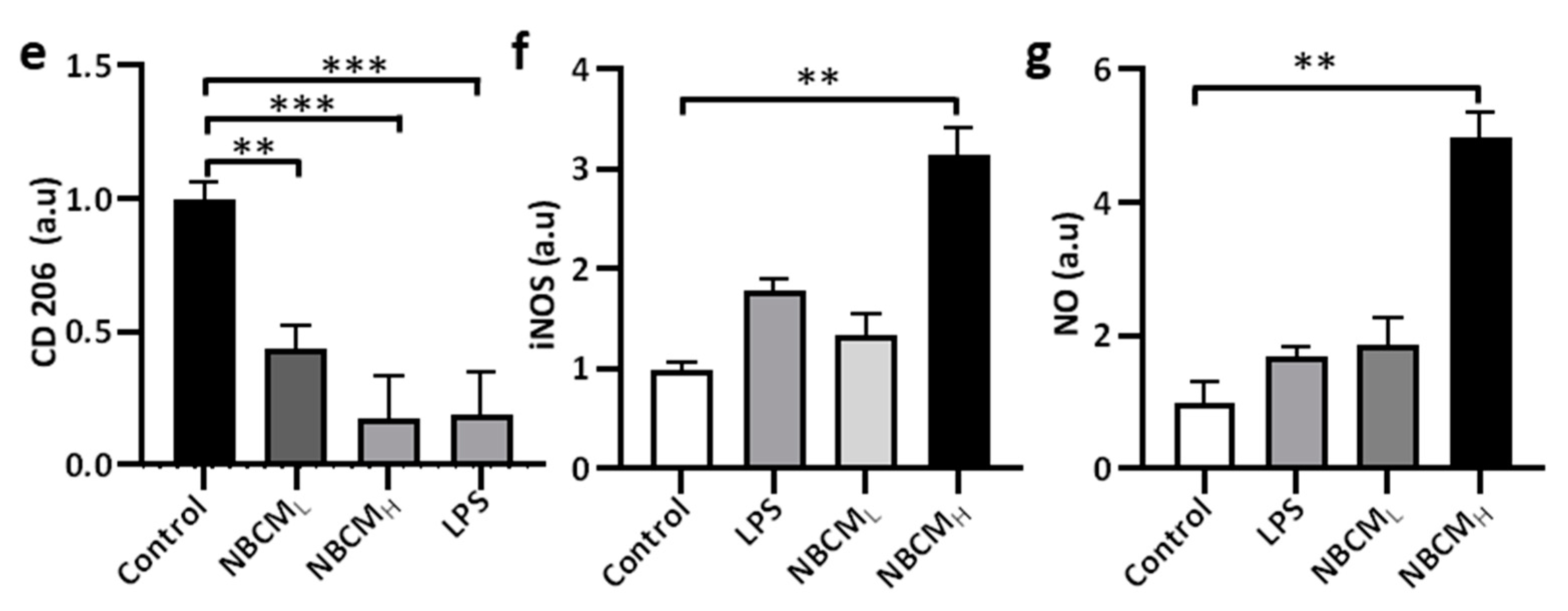 Ijms 22 06925 g004b 550