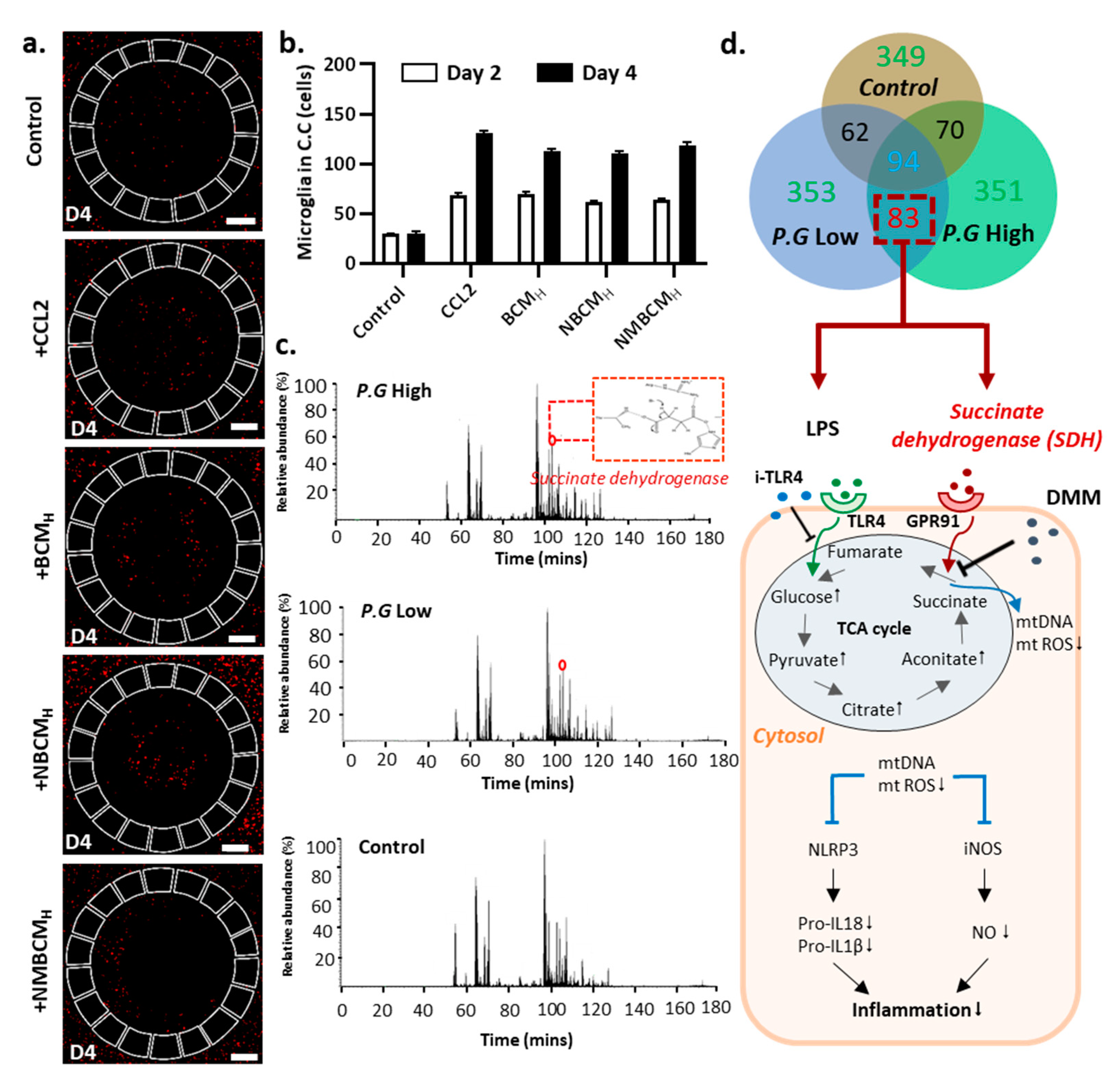Ijms 22 06925 g005 550